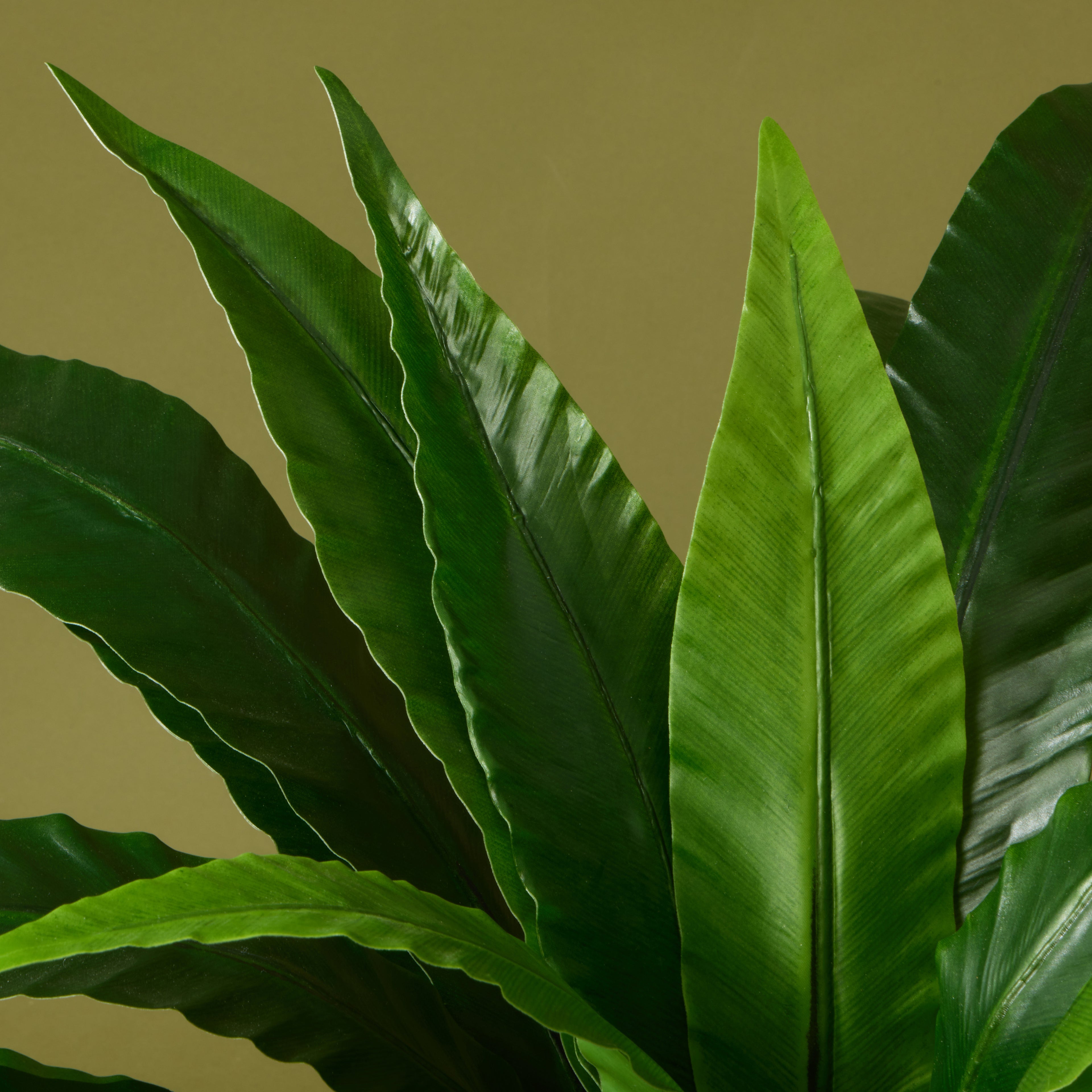 Faux Bird Nest Fern UV Treated - Garden Pot | 55cm