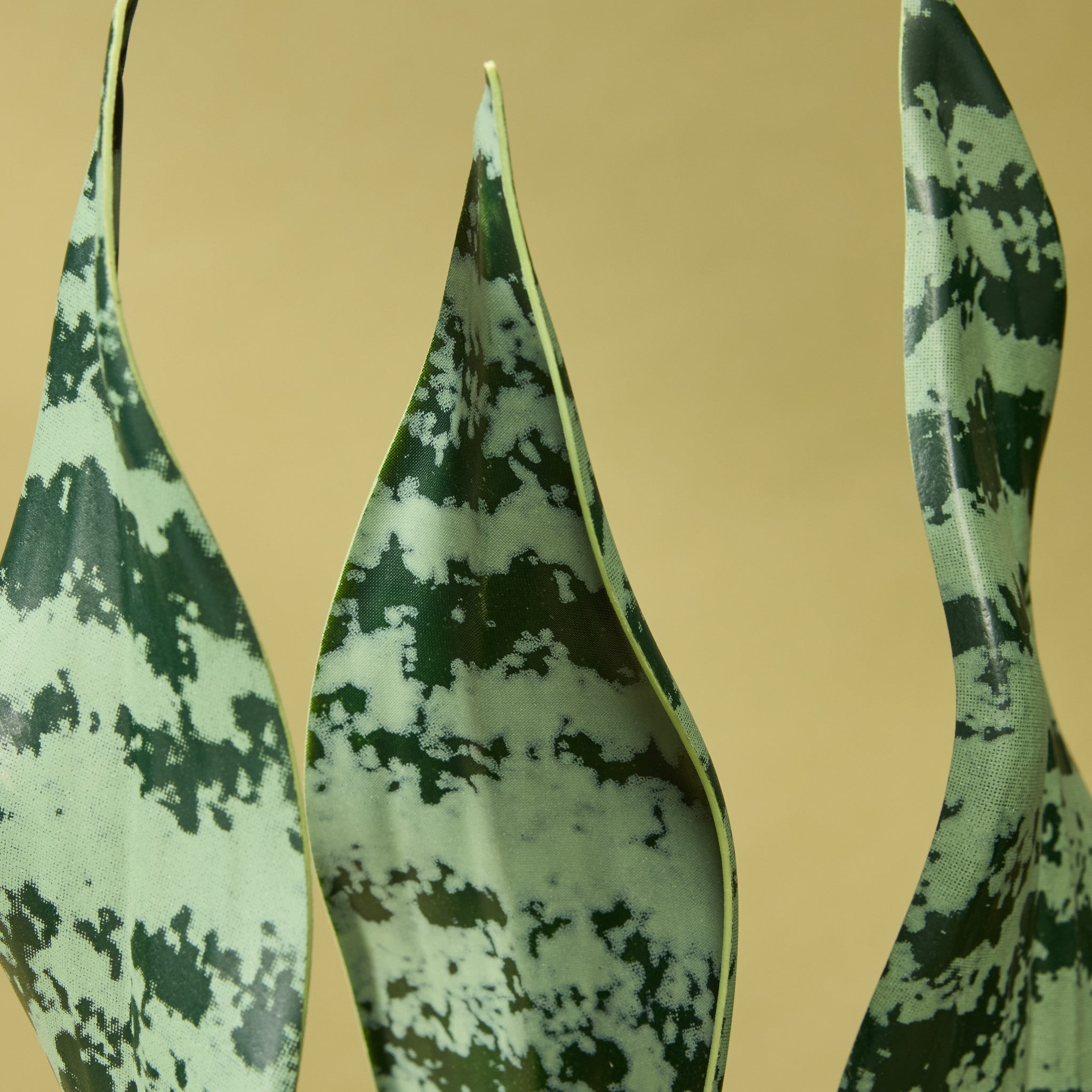 Faux Sansevieria Plant - Garden Pot | 65cm