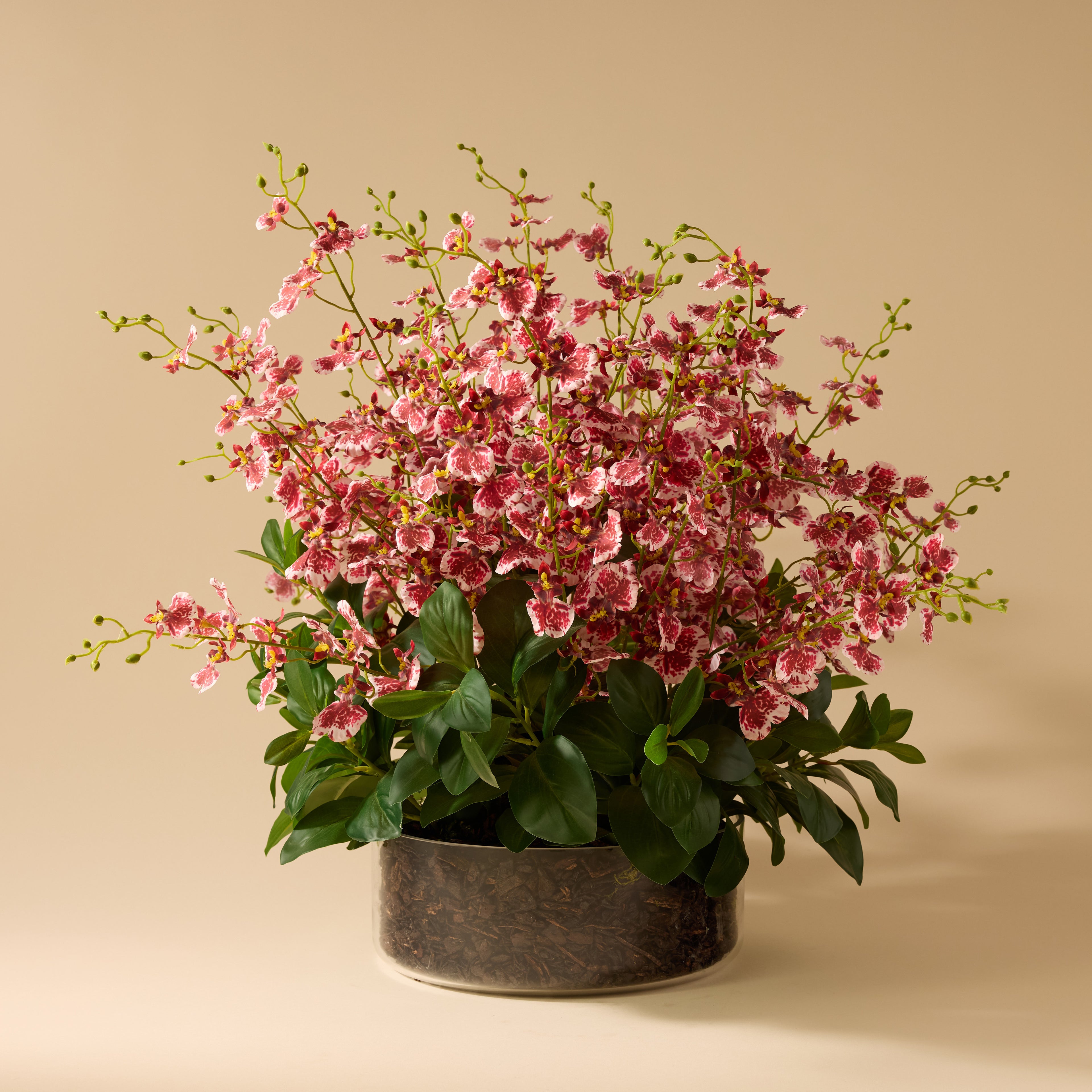 Faux Dancing Orchids - Madelyn Bowl | Burgundy - 67cm