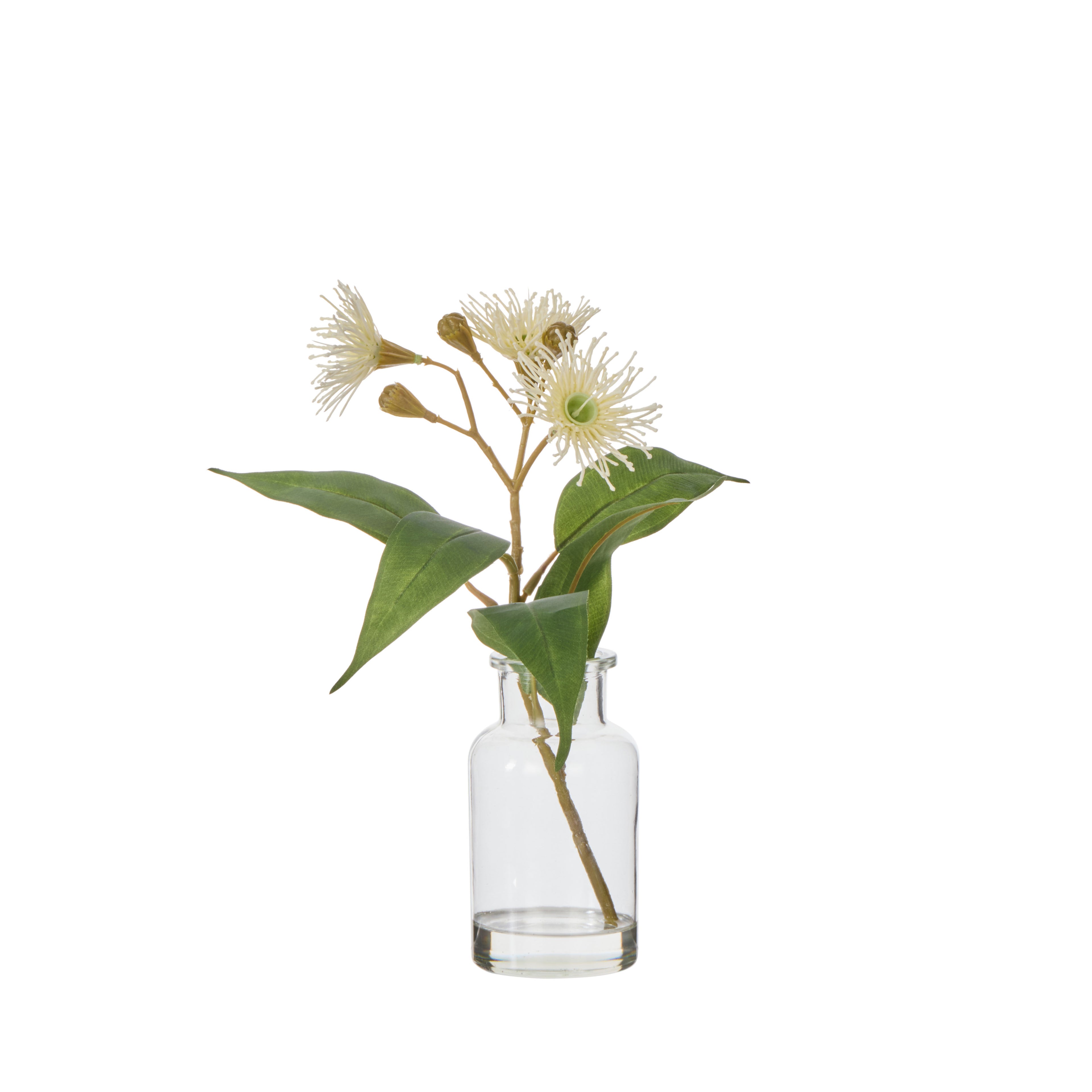 Faux Flowering Eucalyptus - Specimen Bottle | White - 29cm