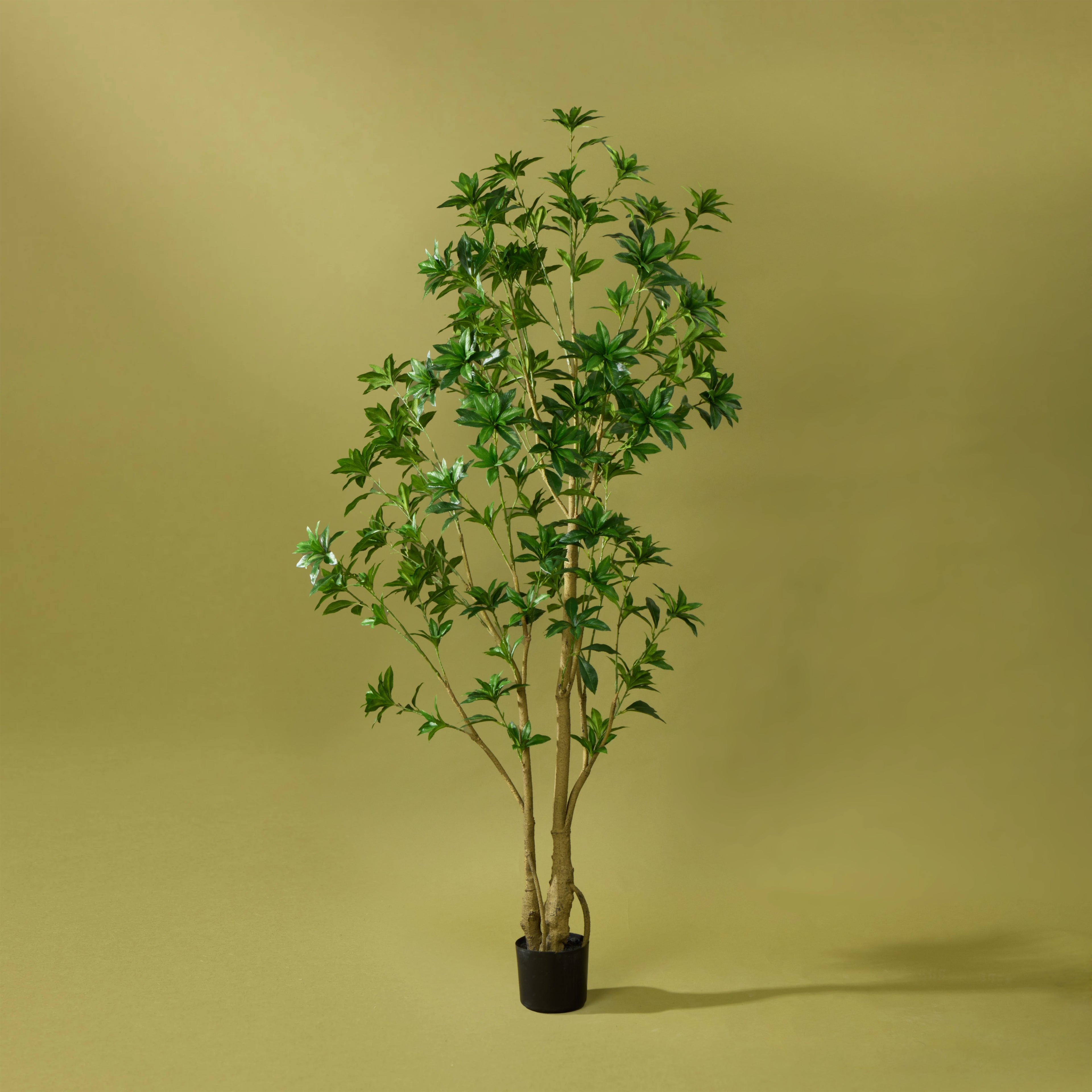 Faux Japonica Tree UV Treated - Garden Pot | 180cm