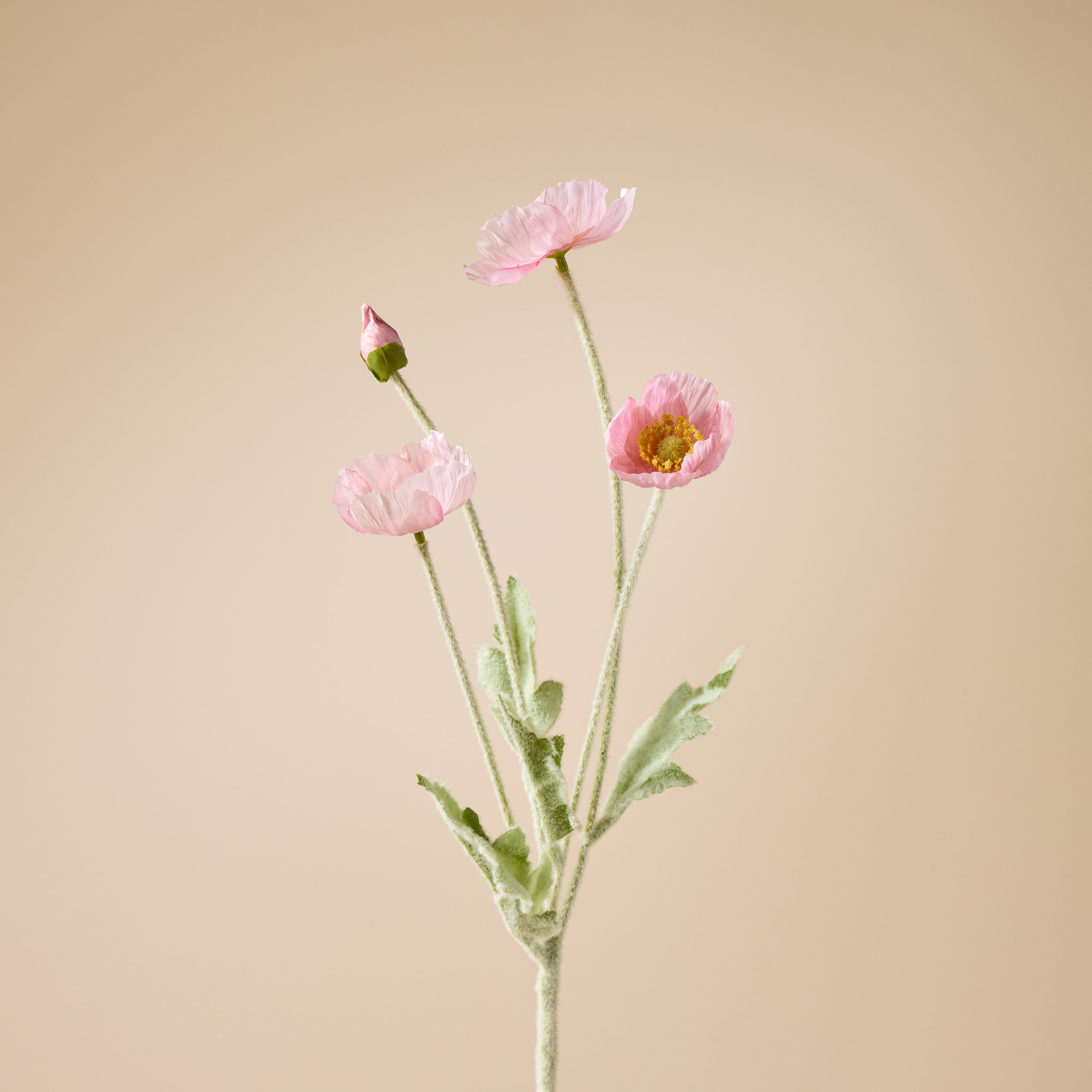 Faux Poppy Spray | Blush Pink - 60cm