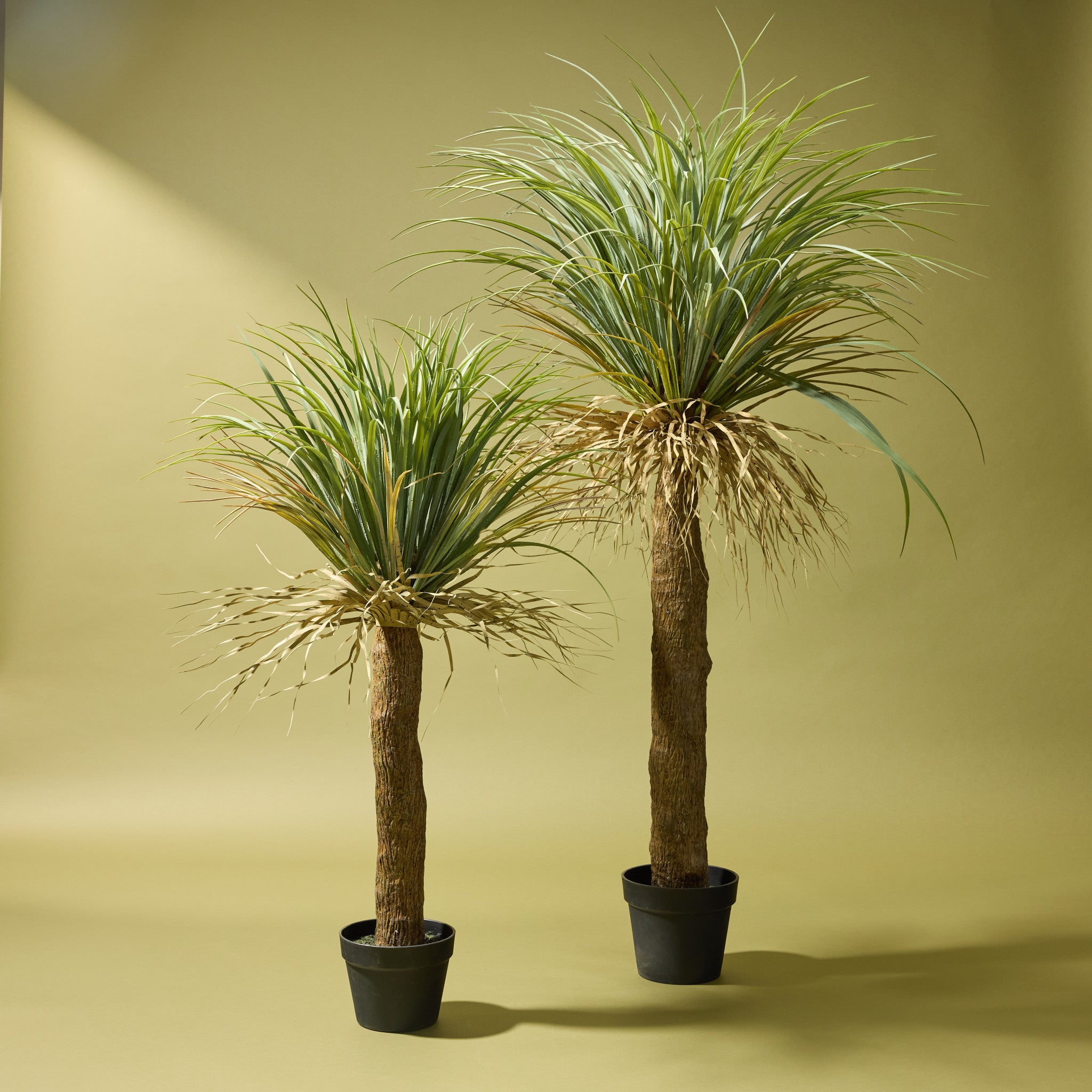 Faux Grass Tree | 110cm