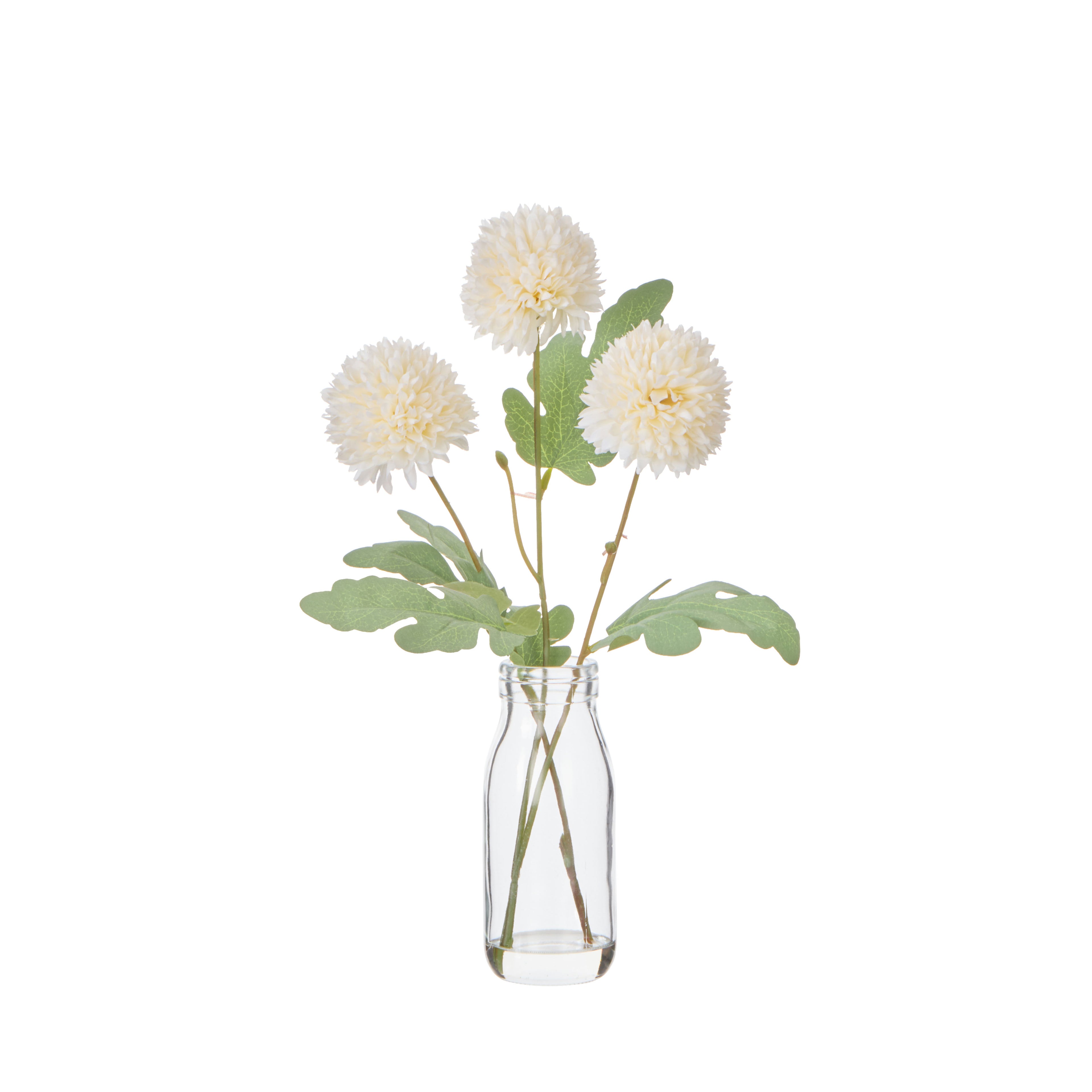 Faux Kiku-Milk Bottle | Ivory - 34cm