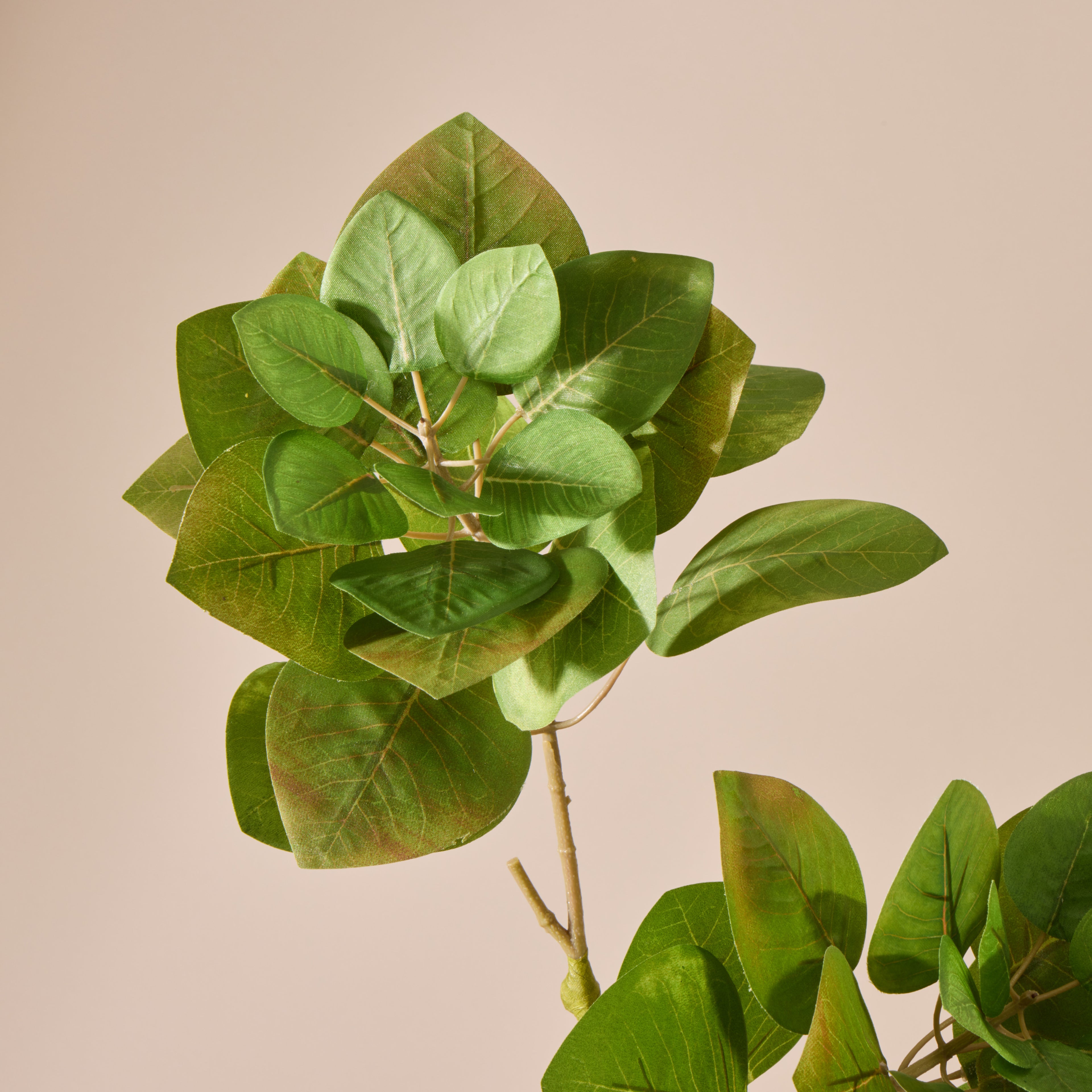 Faux Smoke Bush Spray | Green - 90cm