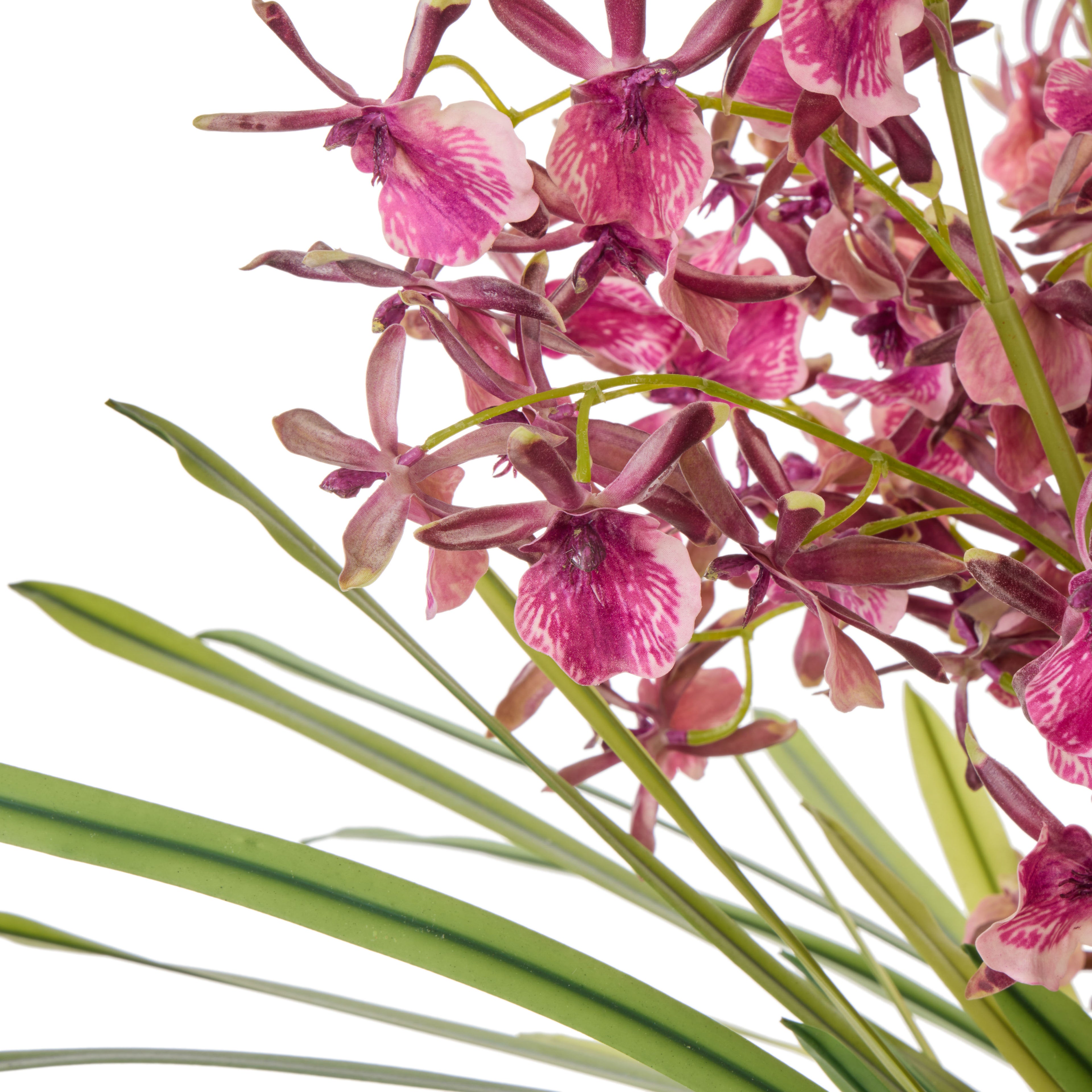 Faux Dendrobium Plant - Maliah Pot | Burgundy - 70cm