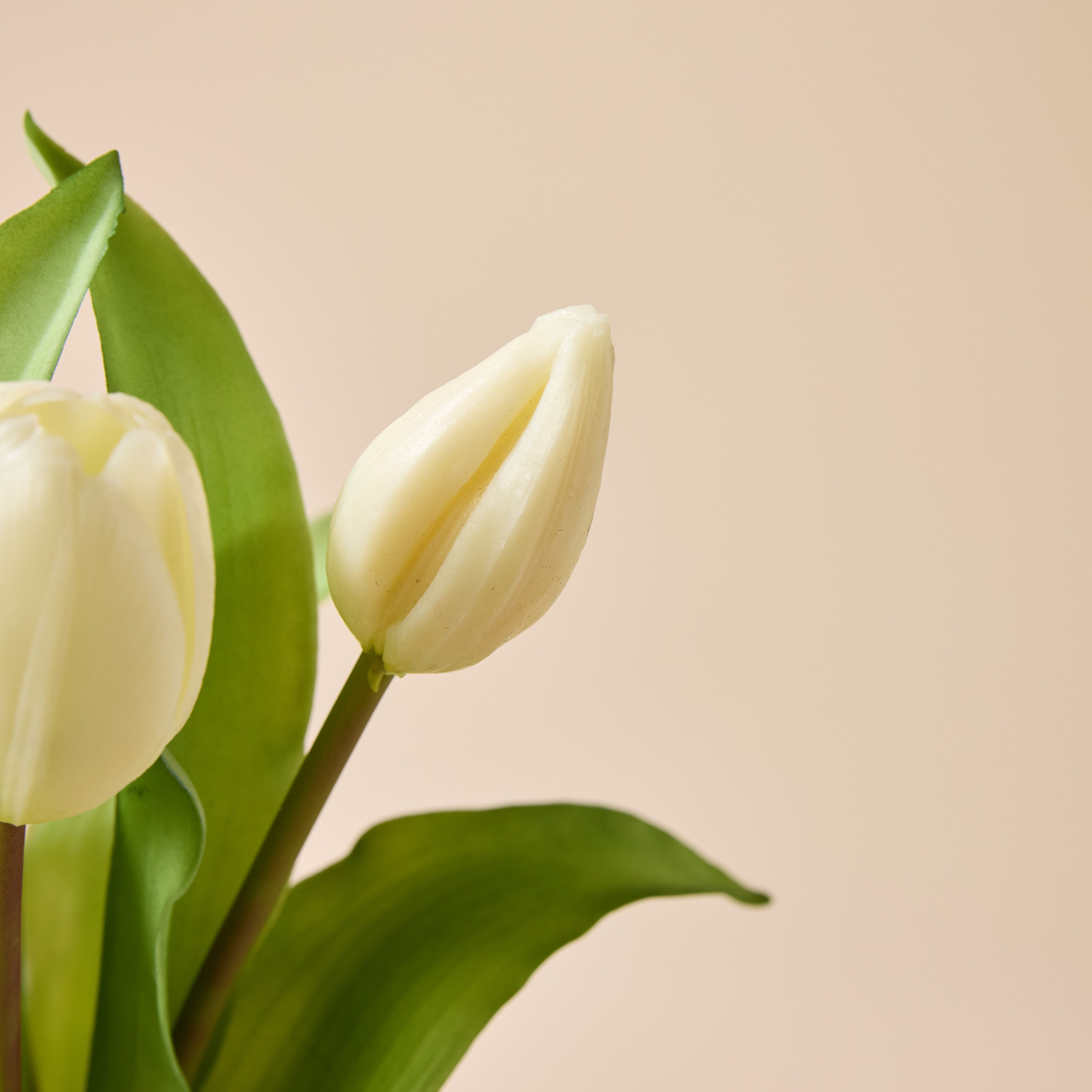 Faux Tulip Bunch | White - 30cm