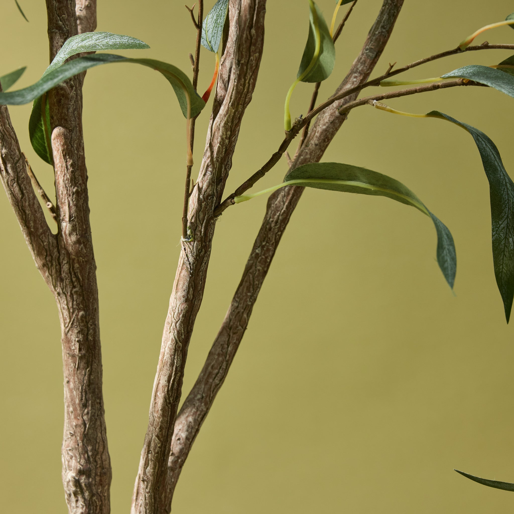 Faux Eucalyptus Willow Tree | 184cm