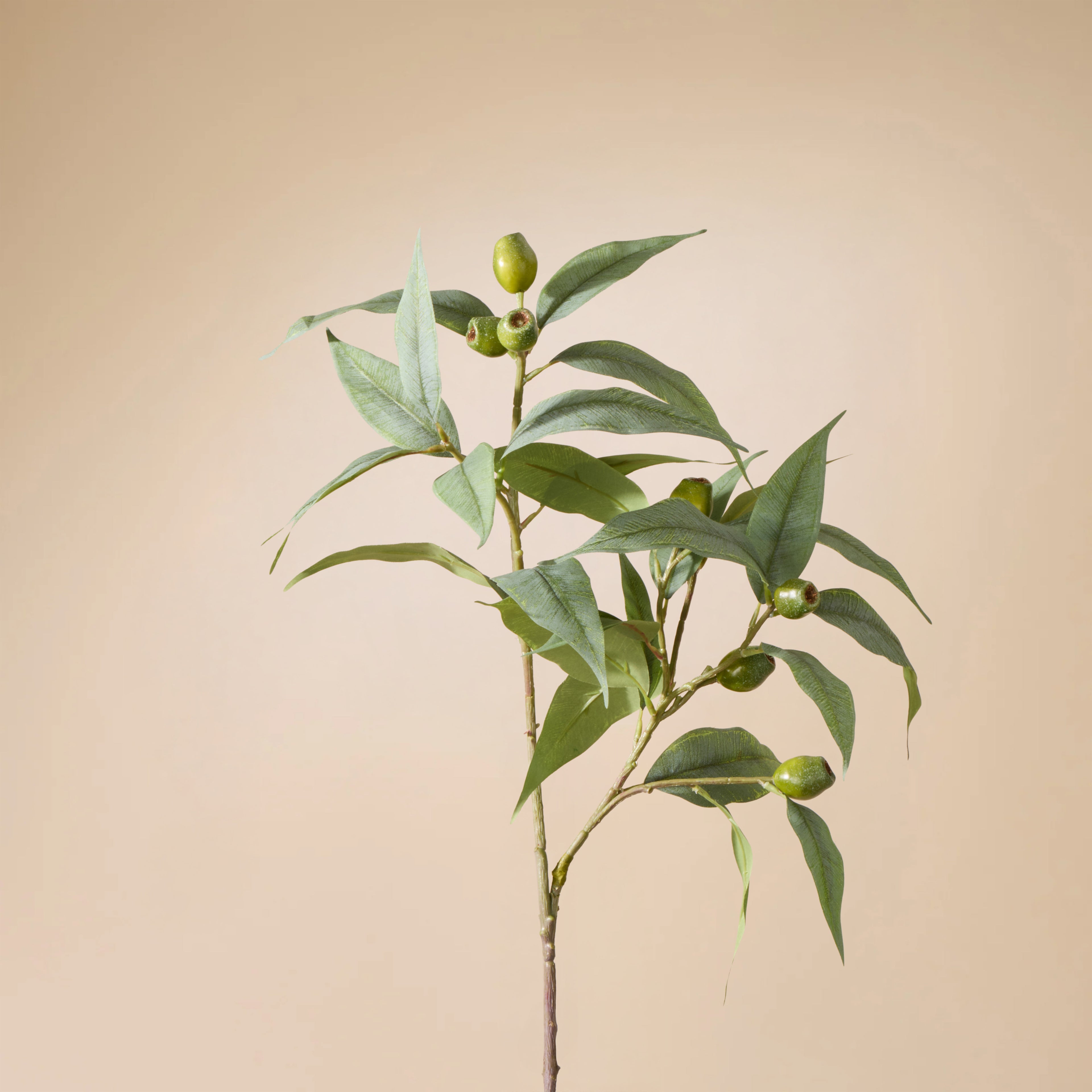 Faux Eucalyptus Gumnut Spray | Green - 79cm