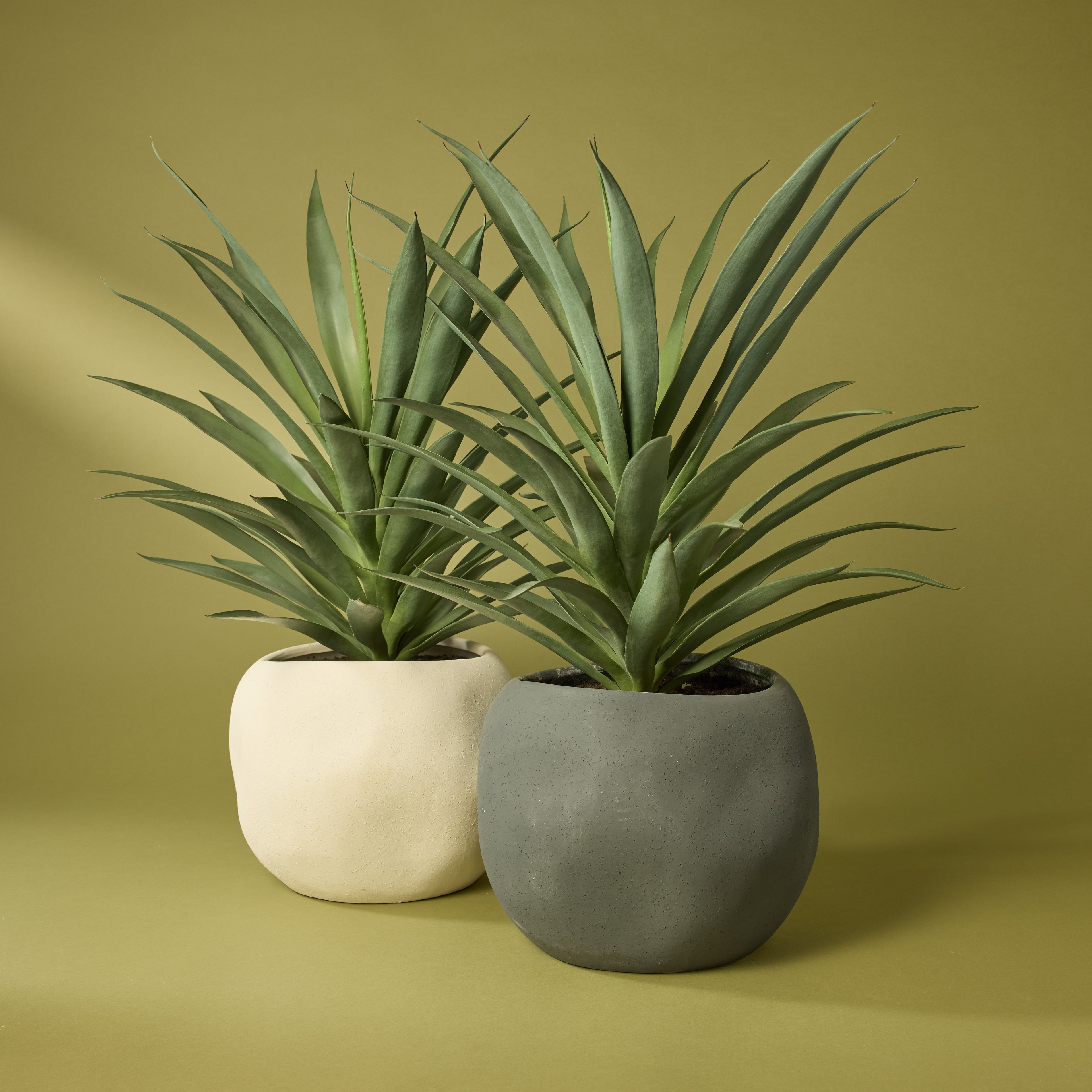 Faux Yucca Plant - Lyon Planter | Cream - 78cm
