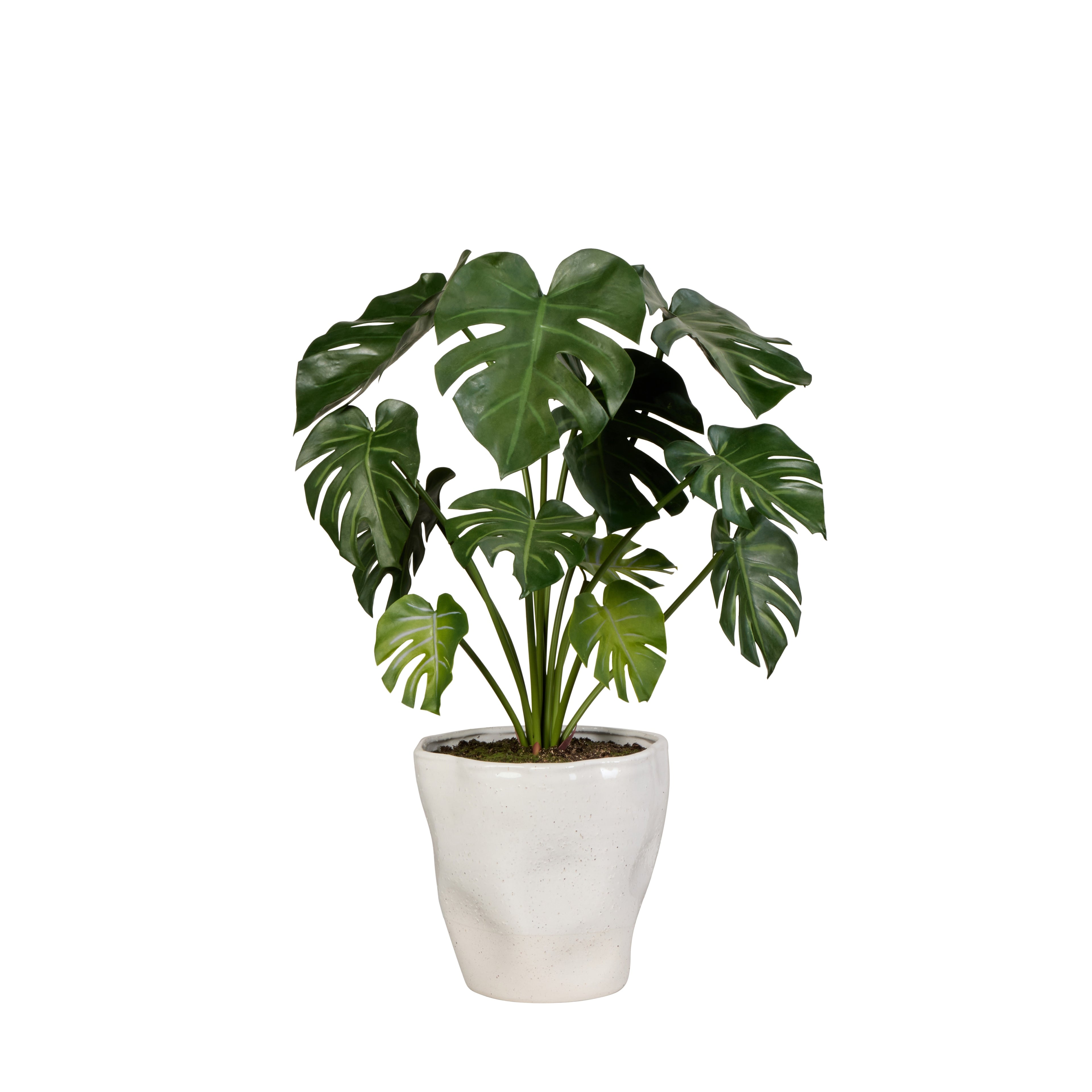 Faux Monstera Plant- Nora Pot | Green - 79cm