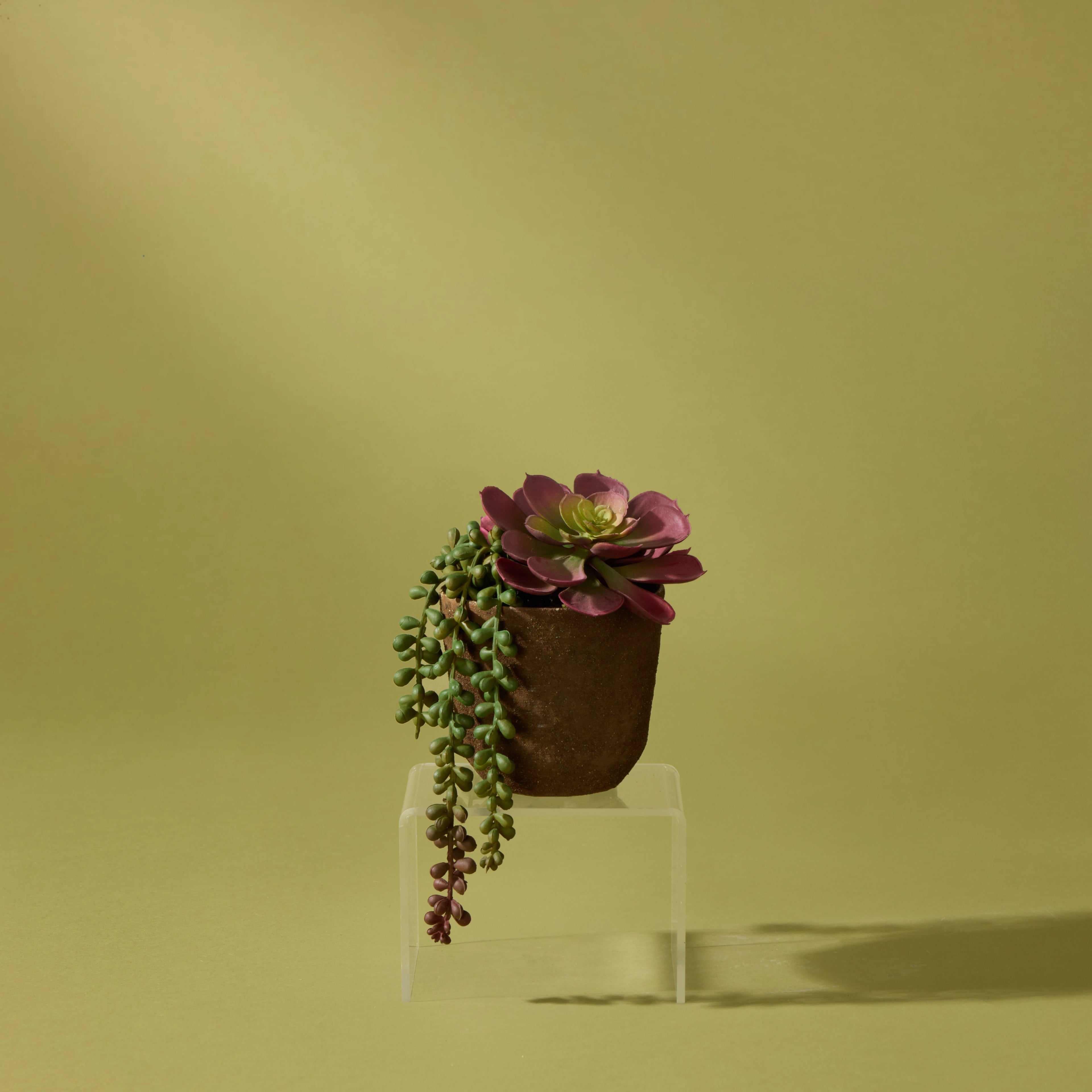 Faux Succulent Mix  - Palermo Pot | 17cm