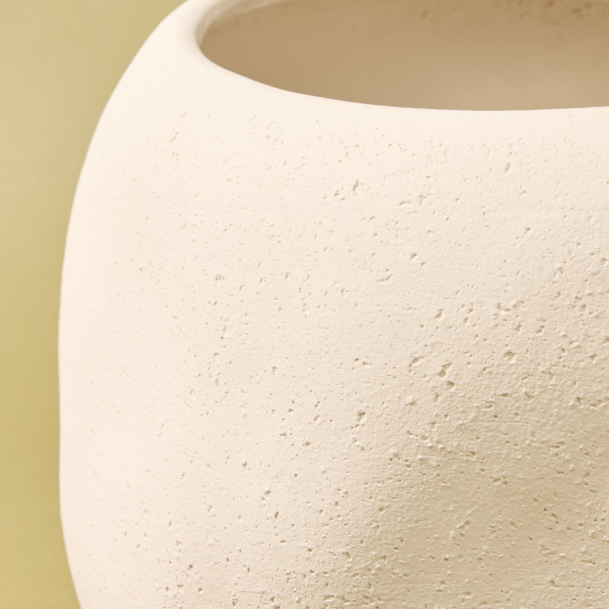 Eucalyptus Willow Tree - Lyon Planter | 127cm | Three Birds Set