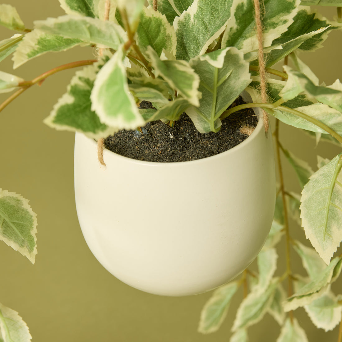 Faux Ficus Hanging Pot | 36cm