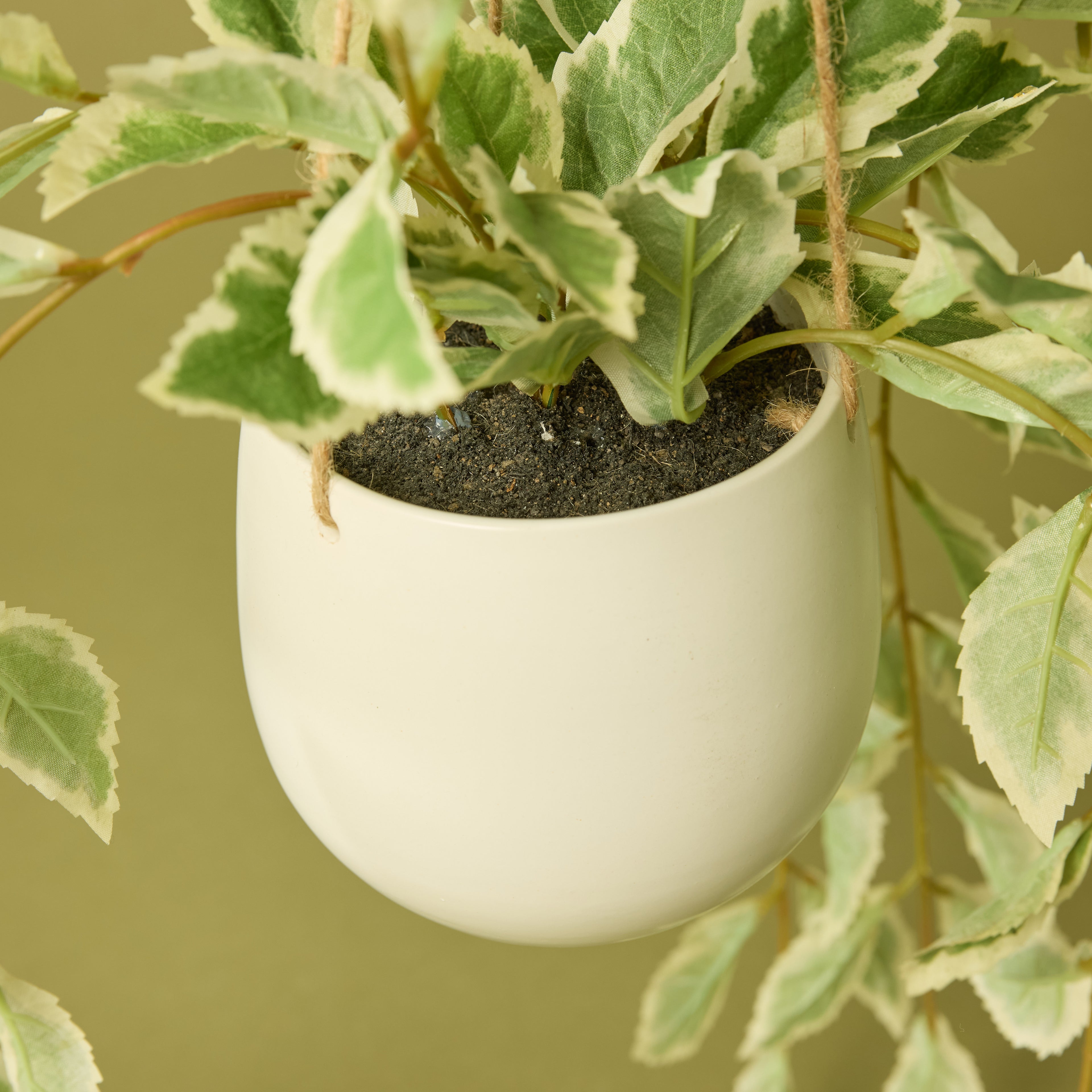 Faux Ficus Hanging Pot | 36cm