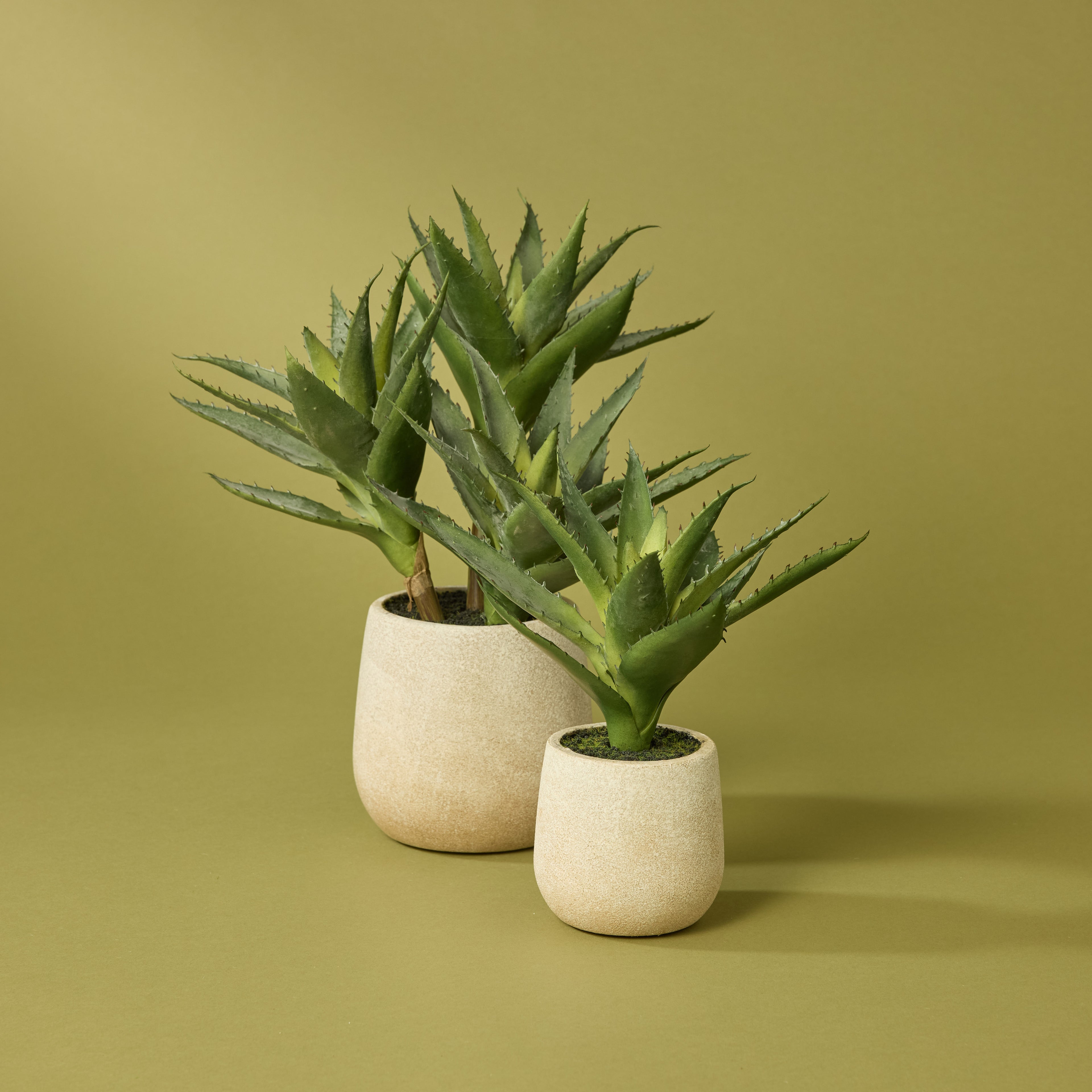 Faux Aloe Plant With 3 Heads - Cream Pot | 33cm