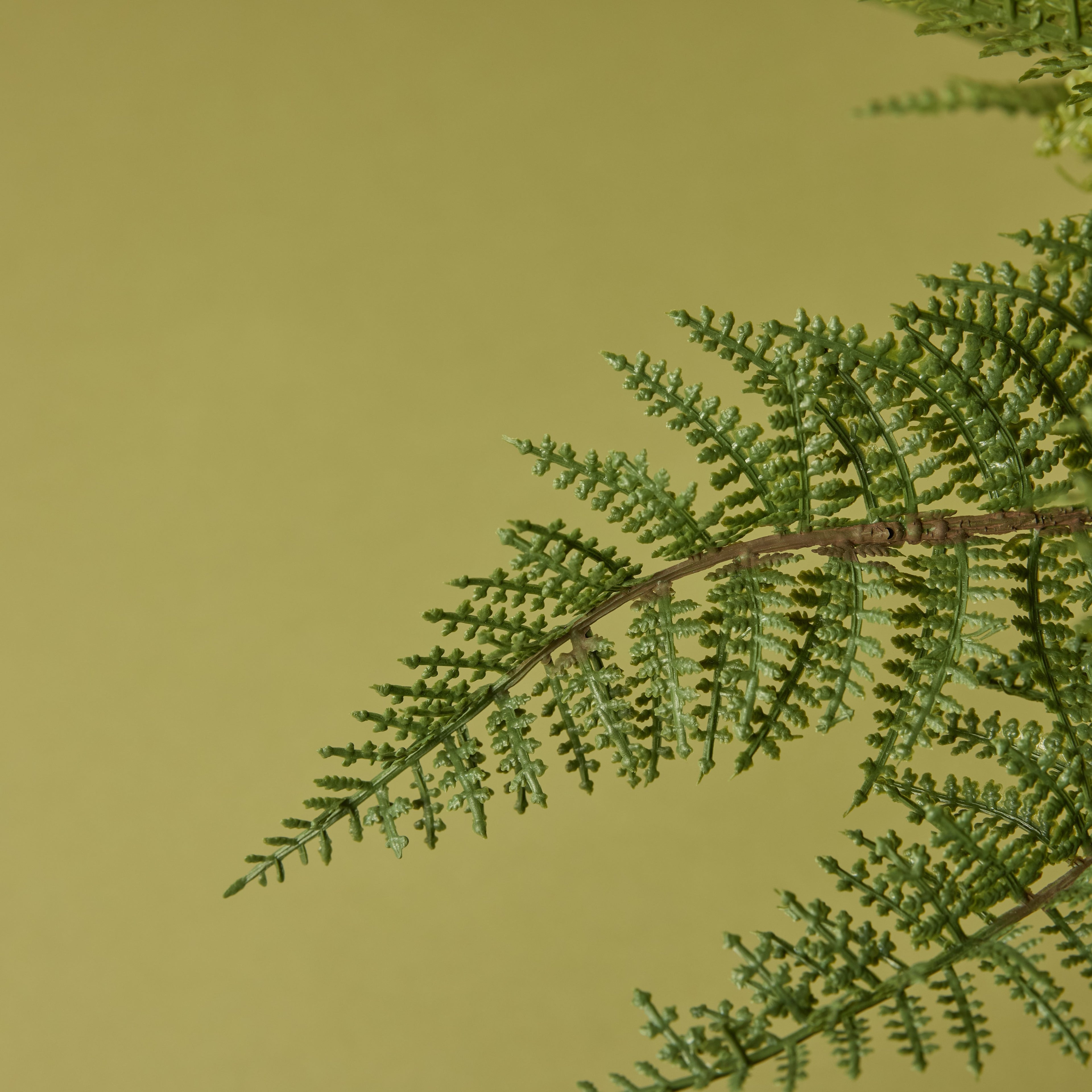 Faux Leatherleaf Fern - Garden Pot | 33cm