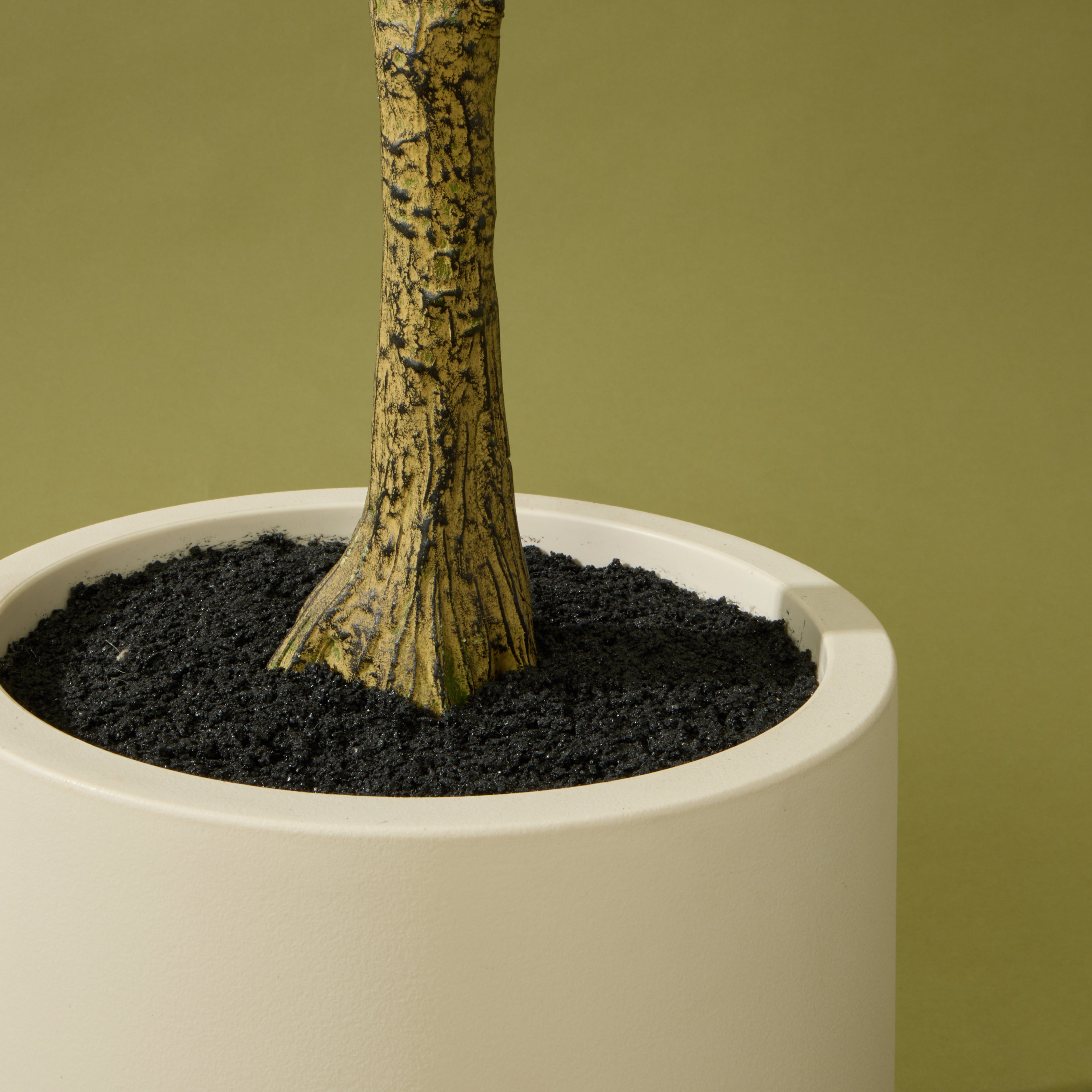 Faux Ficus Tree - White Pot | 180cm