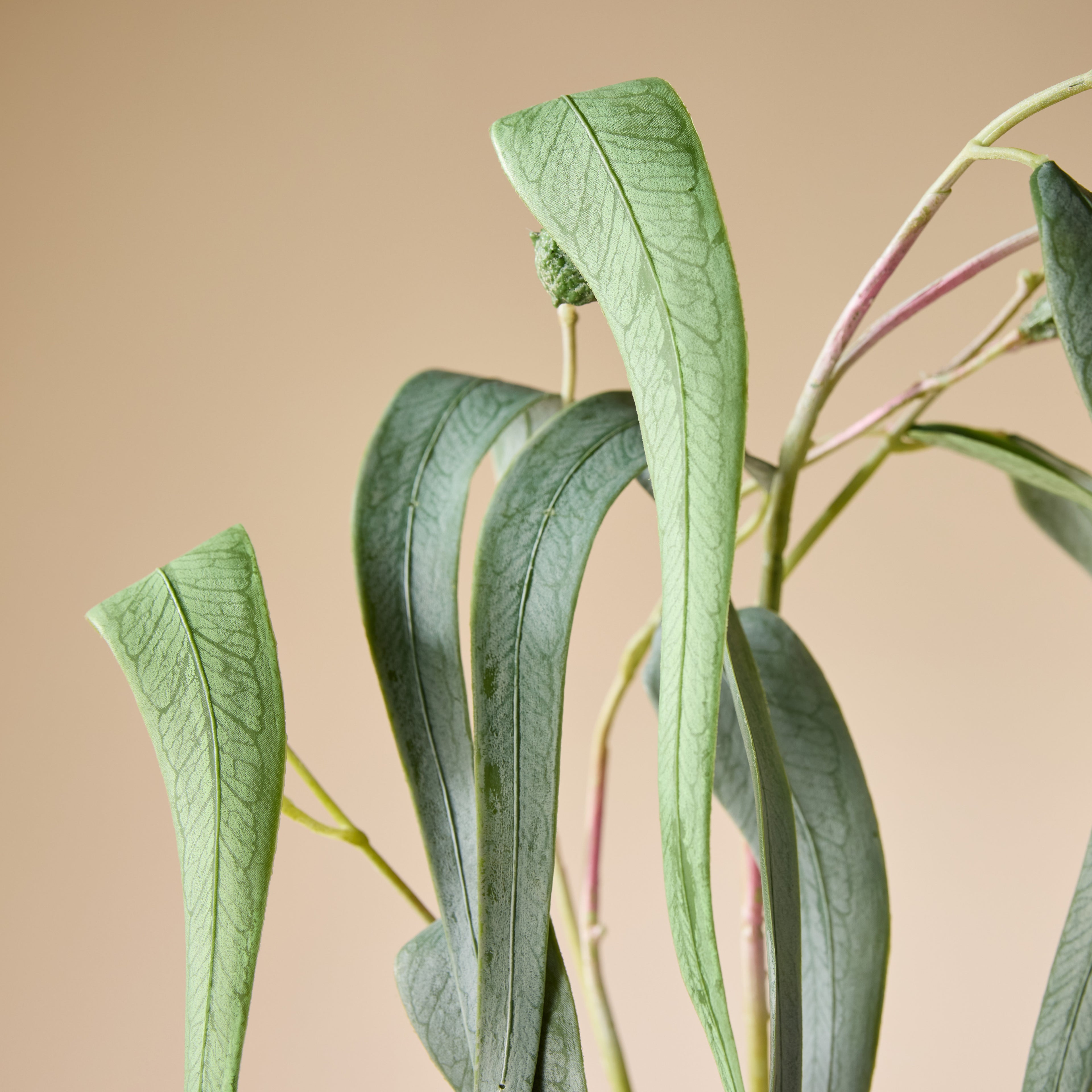 Faux Eucalyptus Gum Nut Spray | 122cm