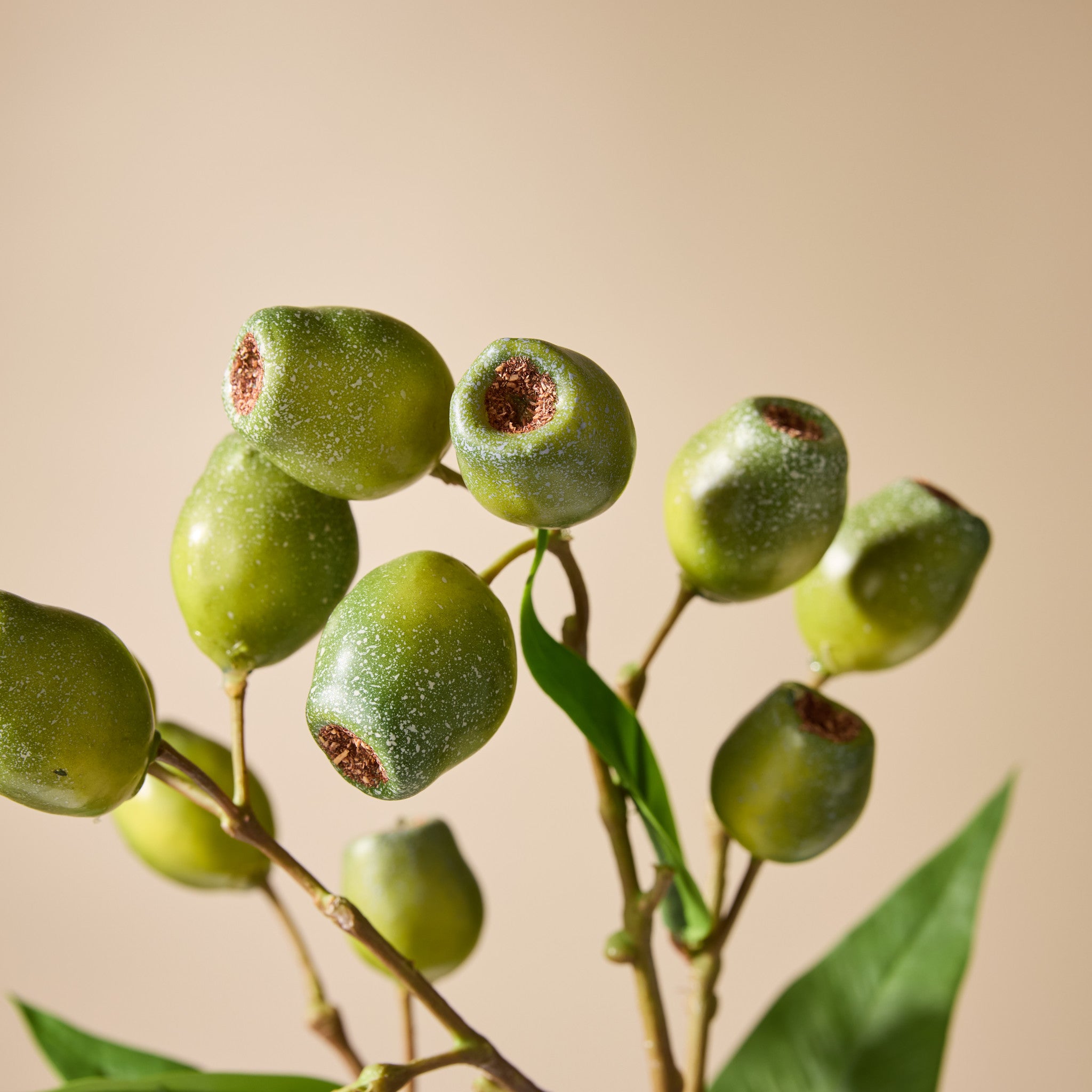 Faux Gum Nut Spray | 66cm