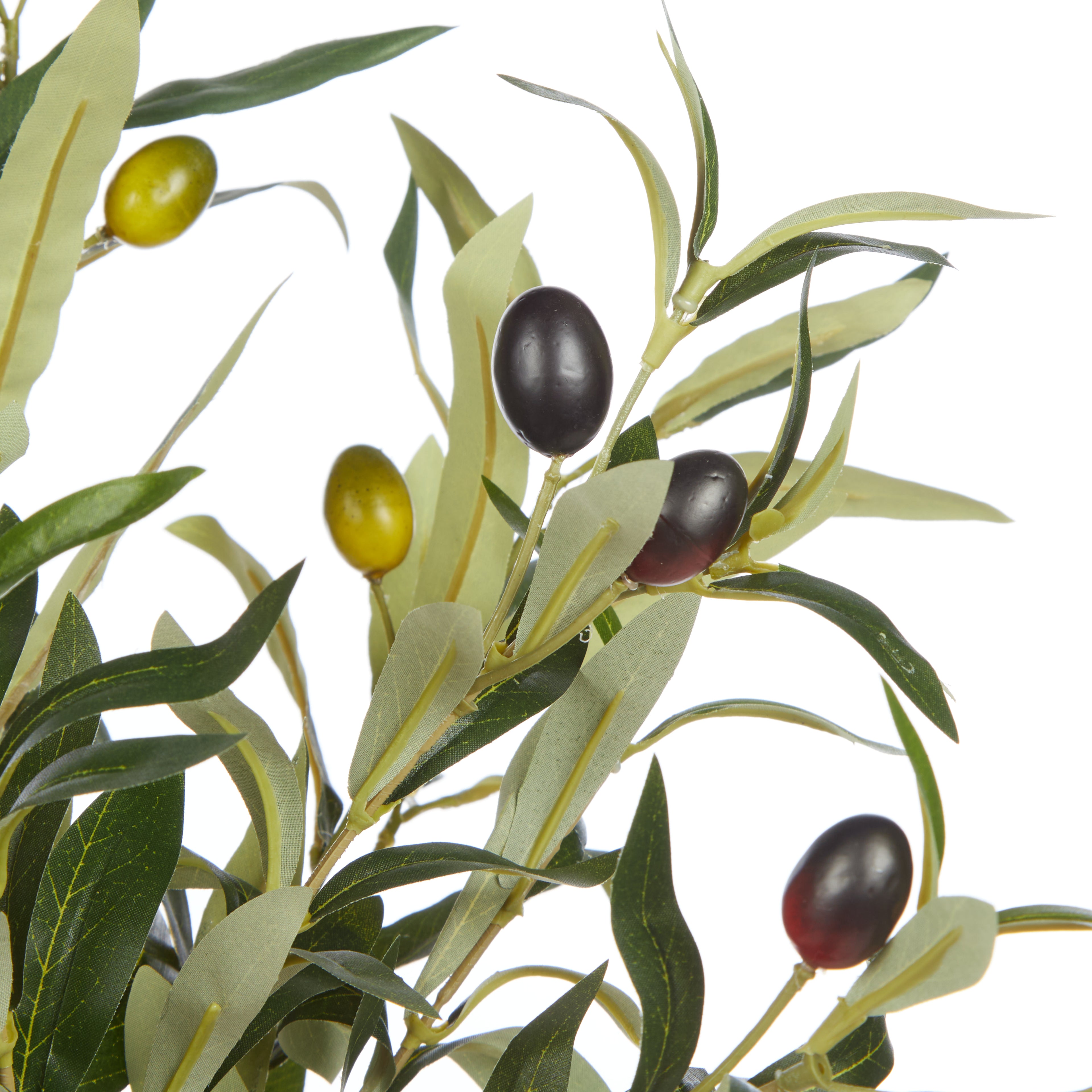 Faux Olive Spray – Specimen Bottle | 45cm