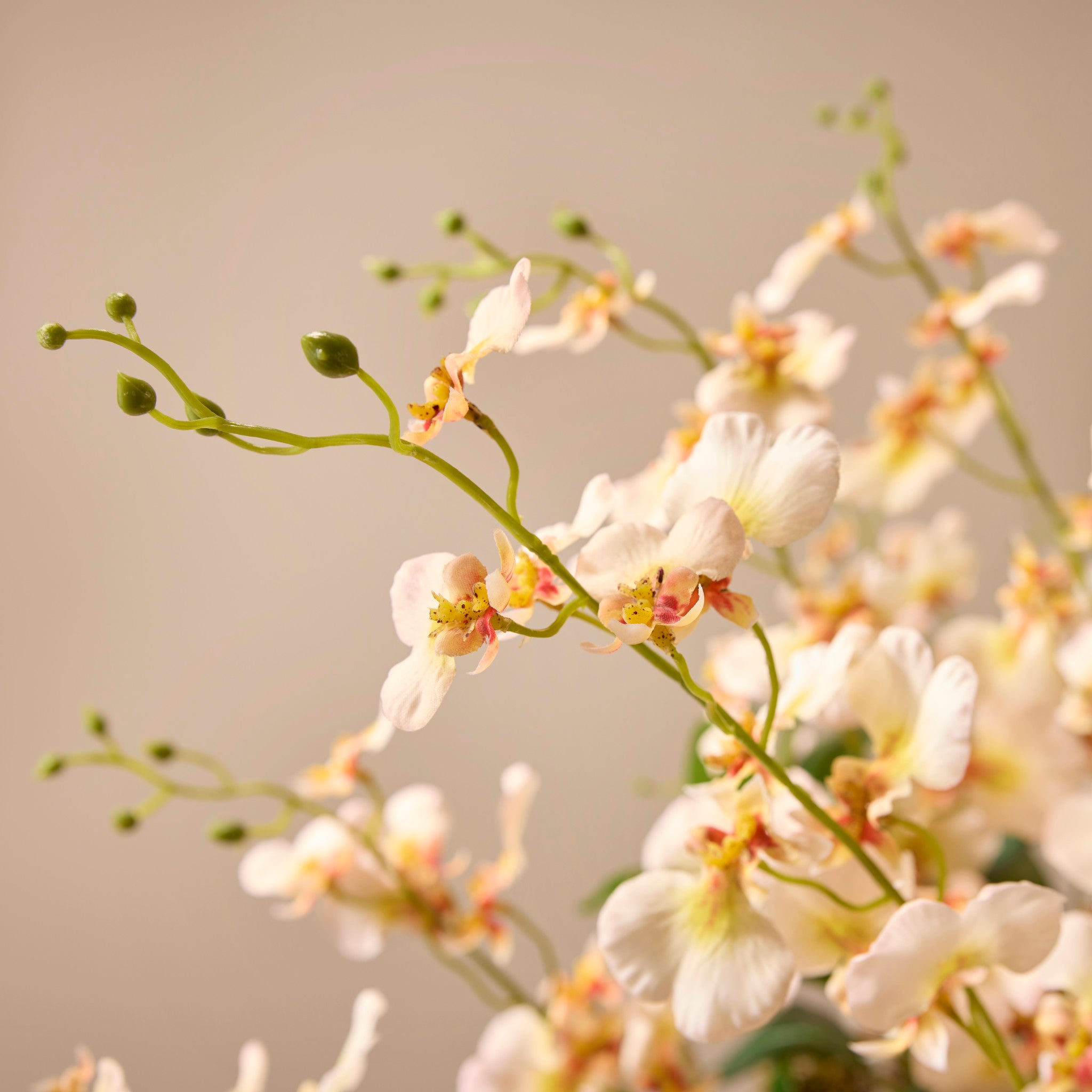 Faux Dancing Orchids - Madelyn Bowl | Cream - 67cm