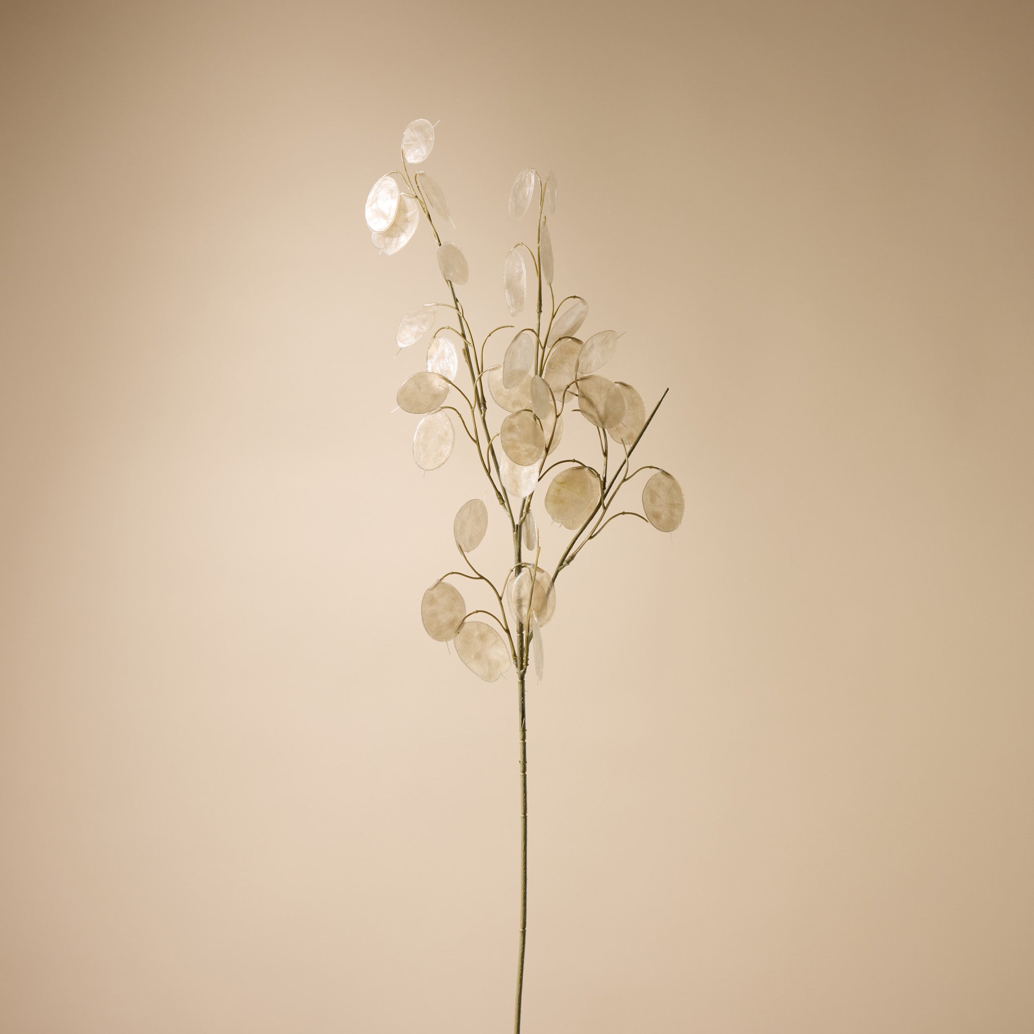 Faux Silver Dollar Eucalyptus Spray | Cream - 76cm