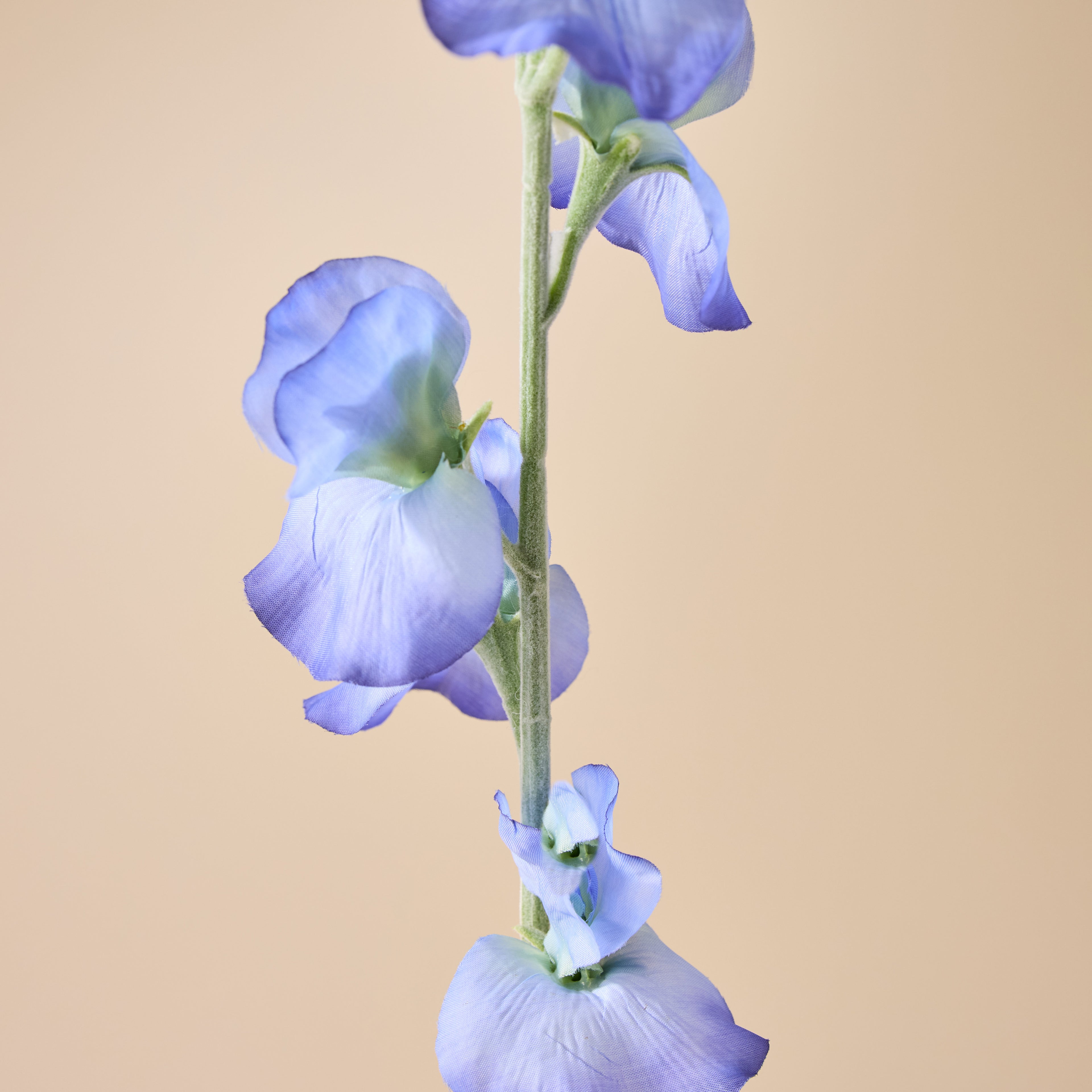 Faux Sweet Pea Spray | Blue - 64cm
