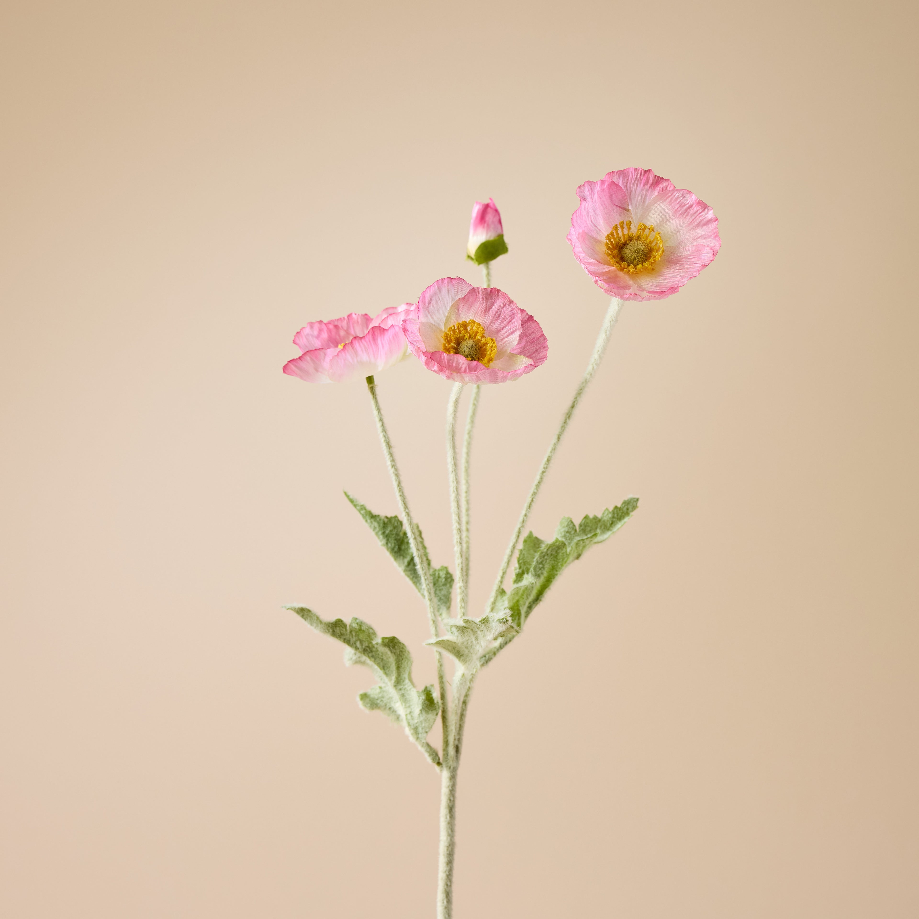 Faux Poppy Spray | Light Pink - 60cm