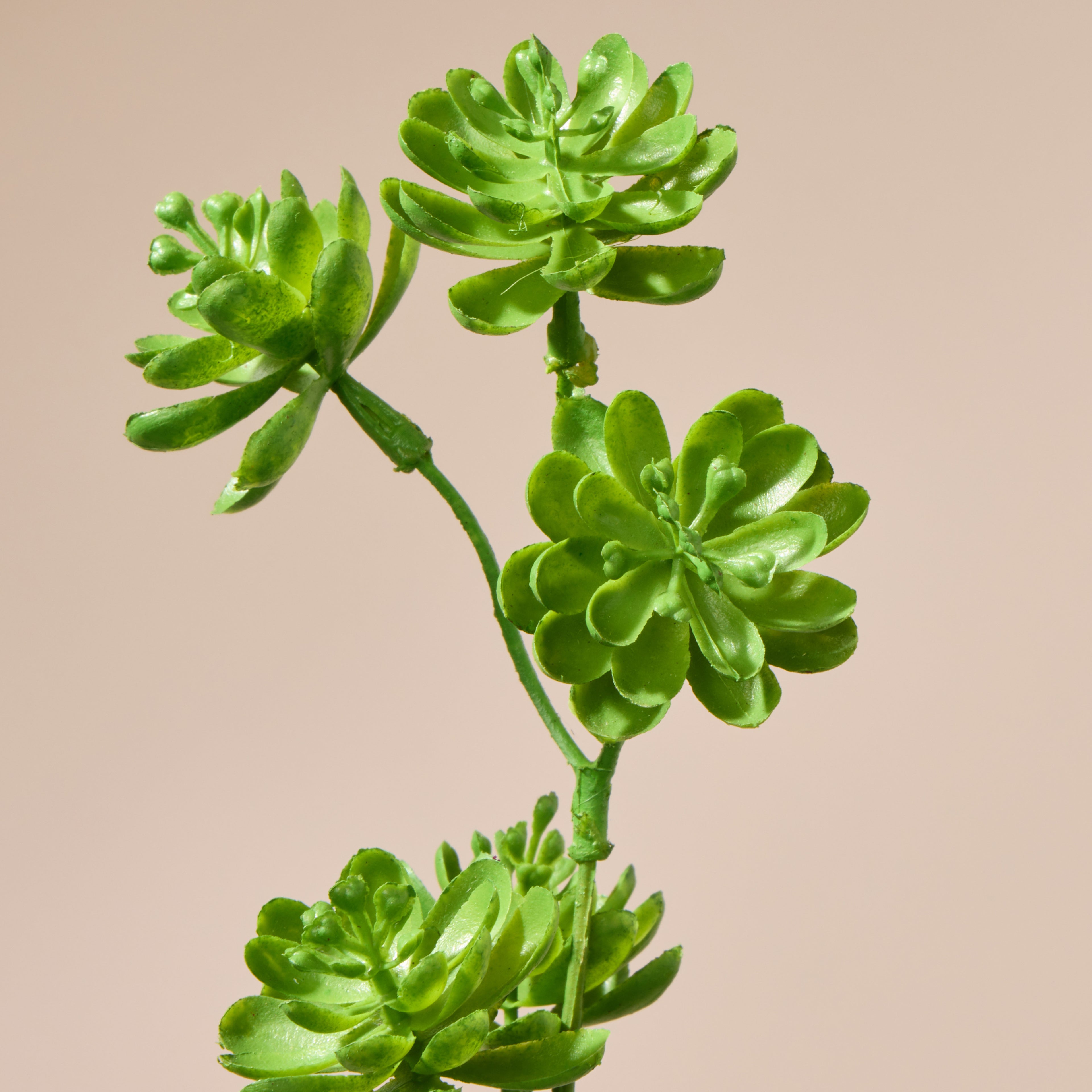 Faux Succulent Spray | Green - 97cm