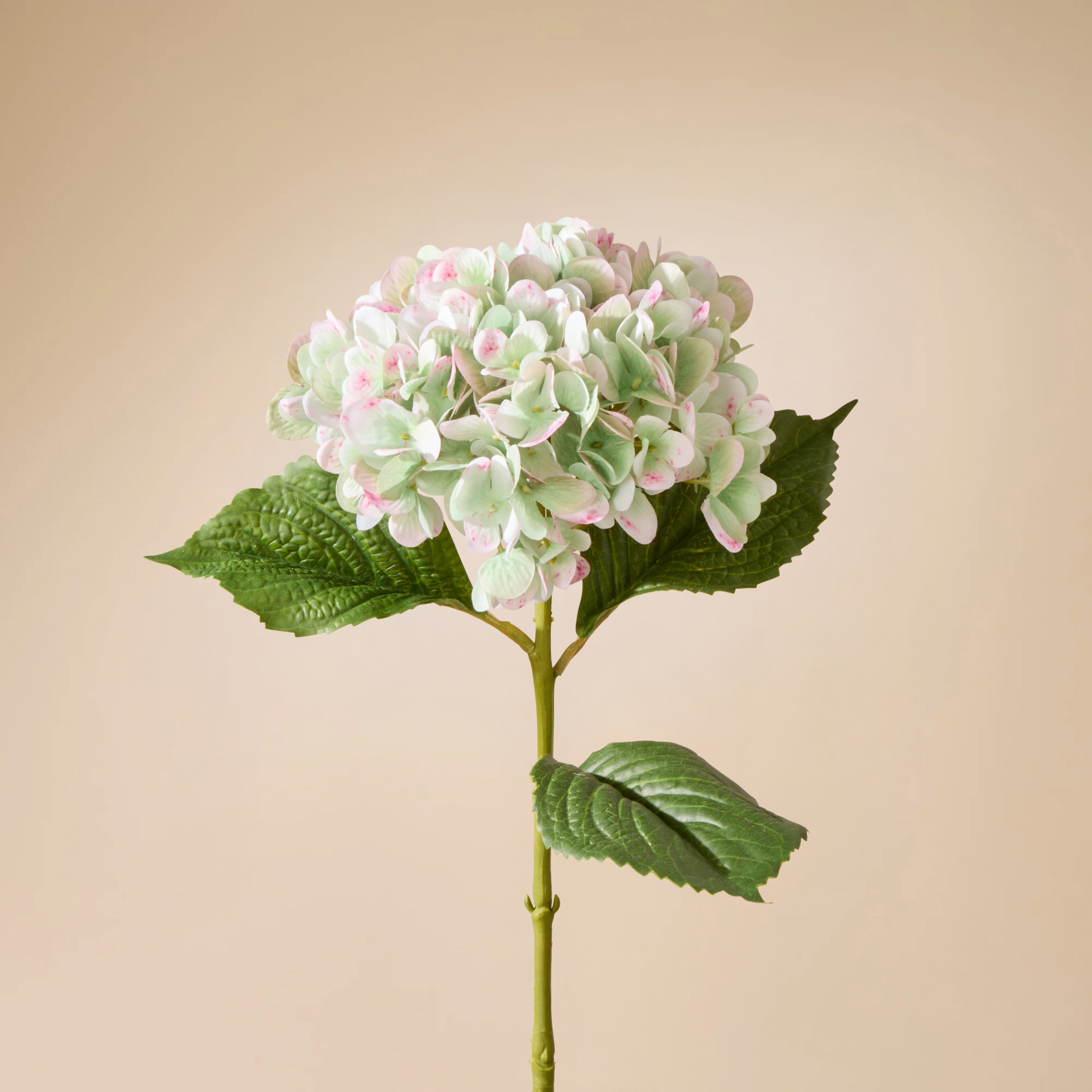 Faux Hydrangea Stem | Green - 66cm