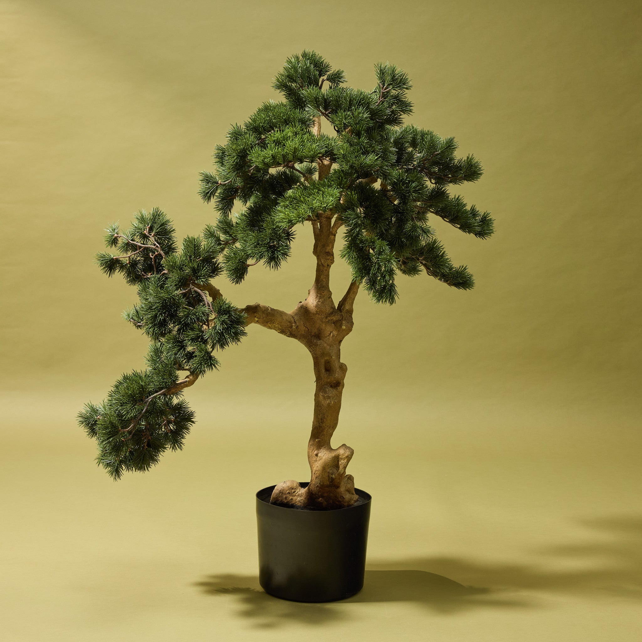 Faux Pine Bonsai Tree - Garden Pot | 100cm