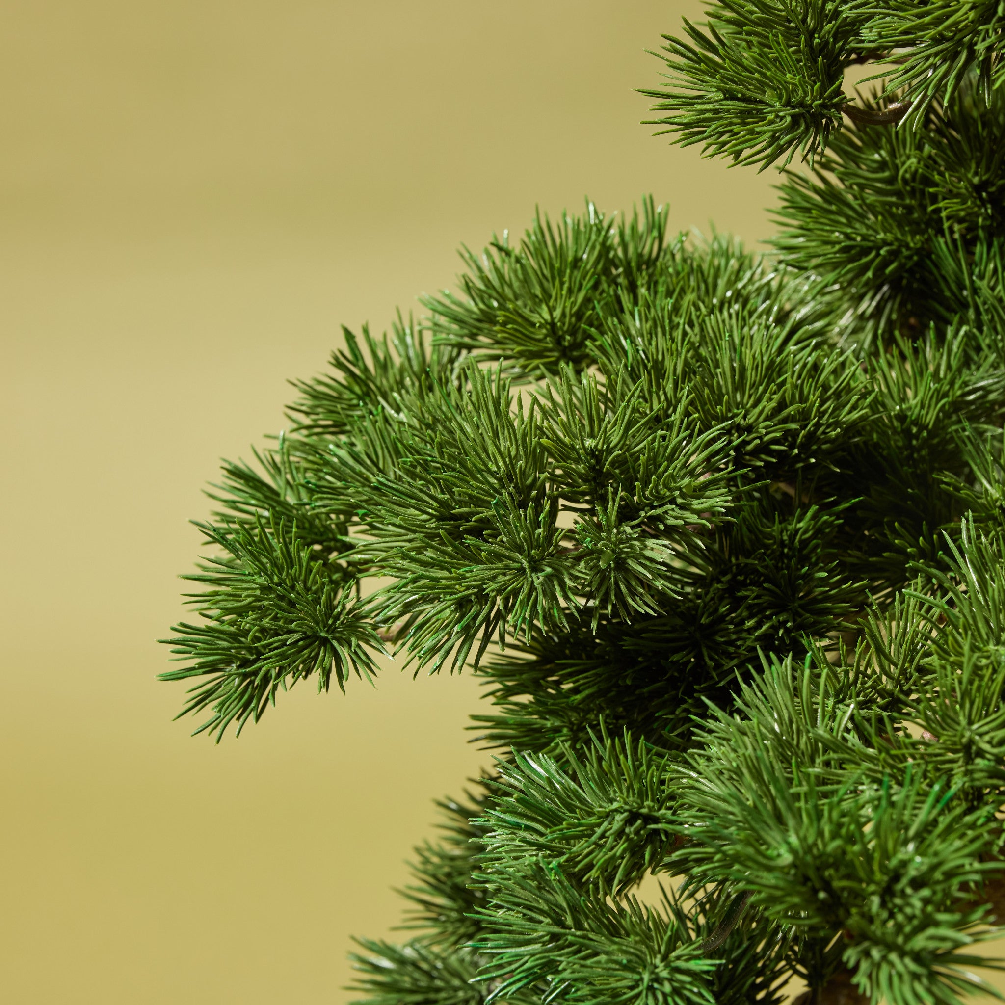 Faux Pine Bonsai Tree - Oslo Pot | Black - 100cm
