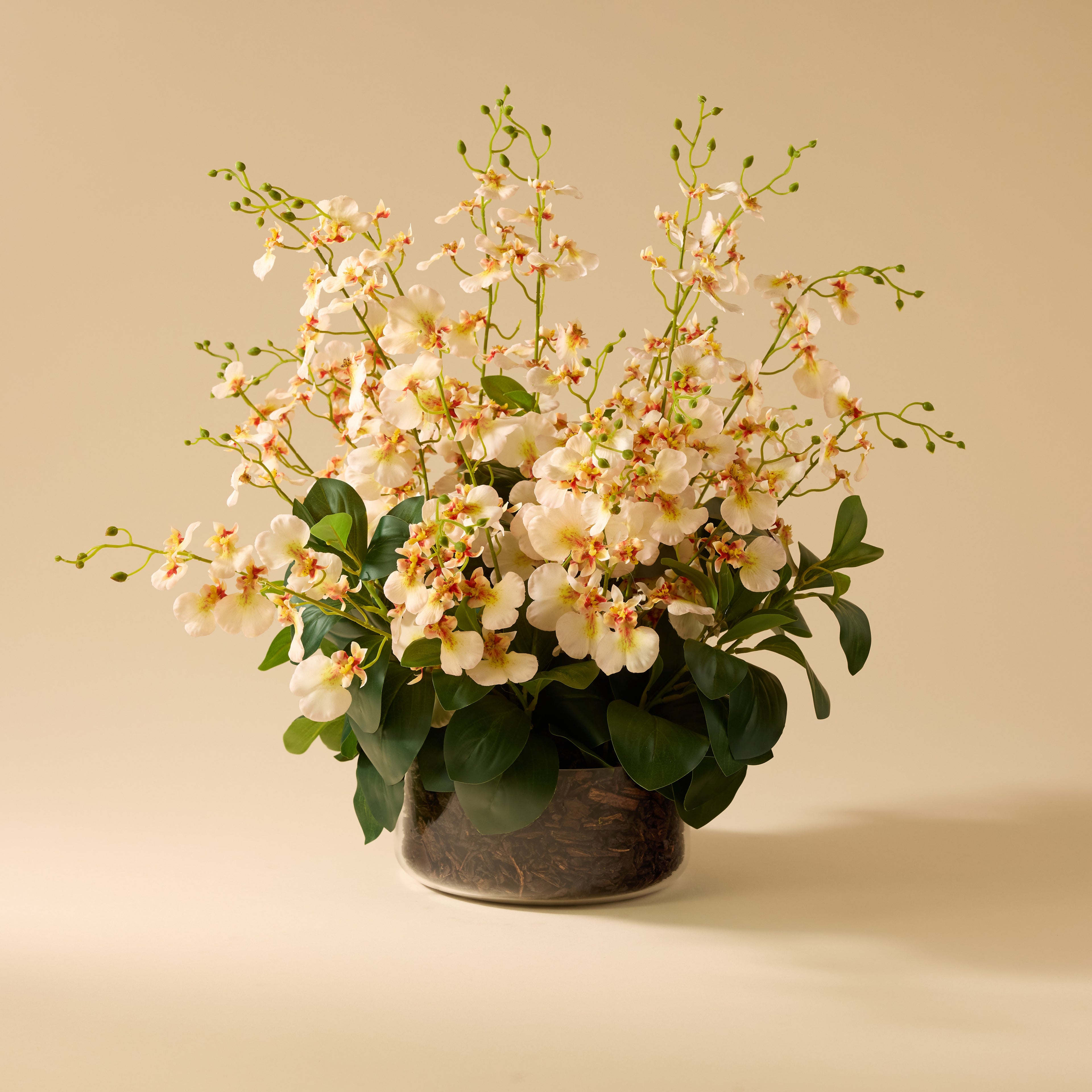 Faux Dancing Orchids - Madelyn Bowl | Cream - 58cm