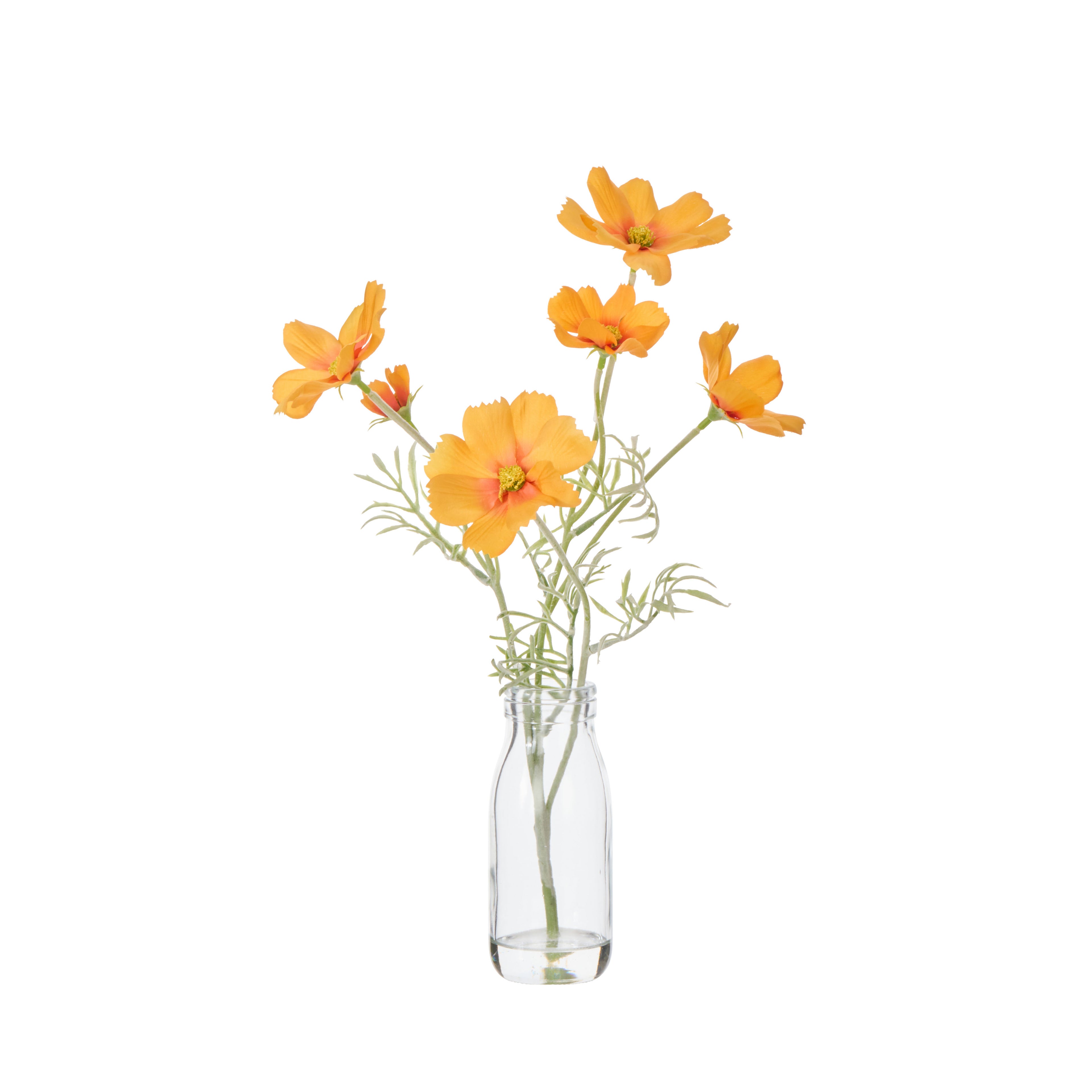 Faux Cosmos - Milk Bottle | Orange- 35cm