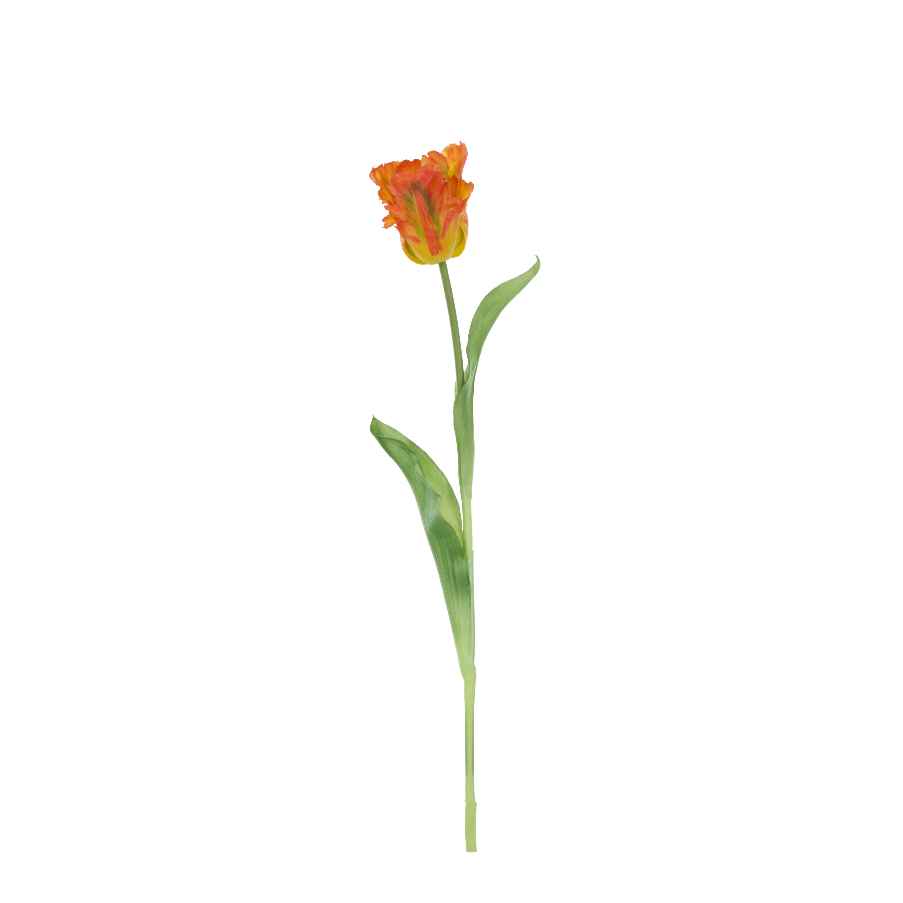 Faux Parrot Tulip Stem | Orange - 48cm