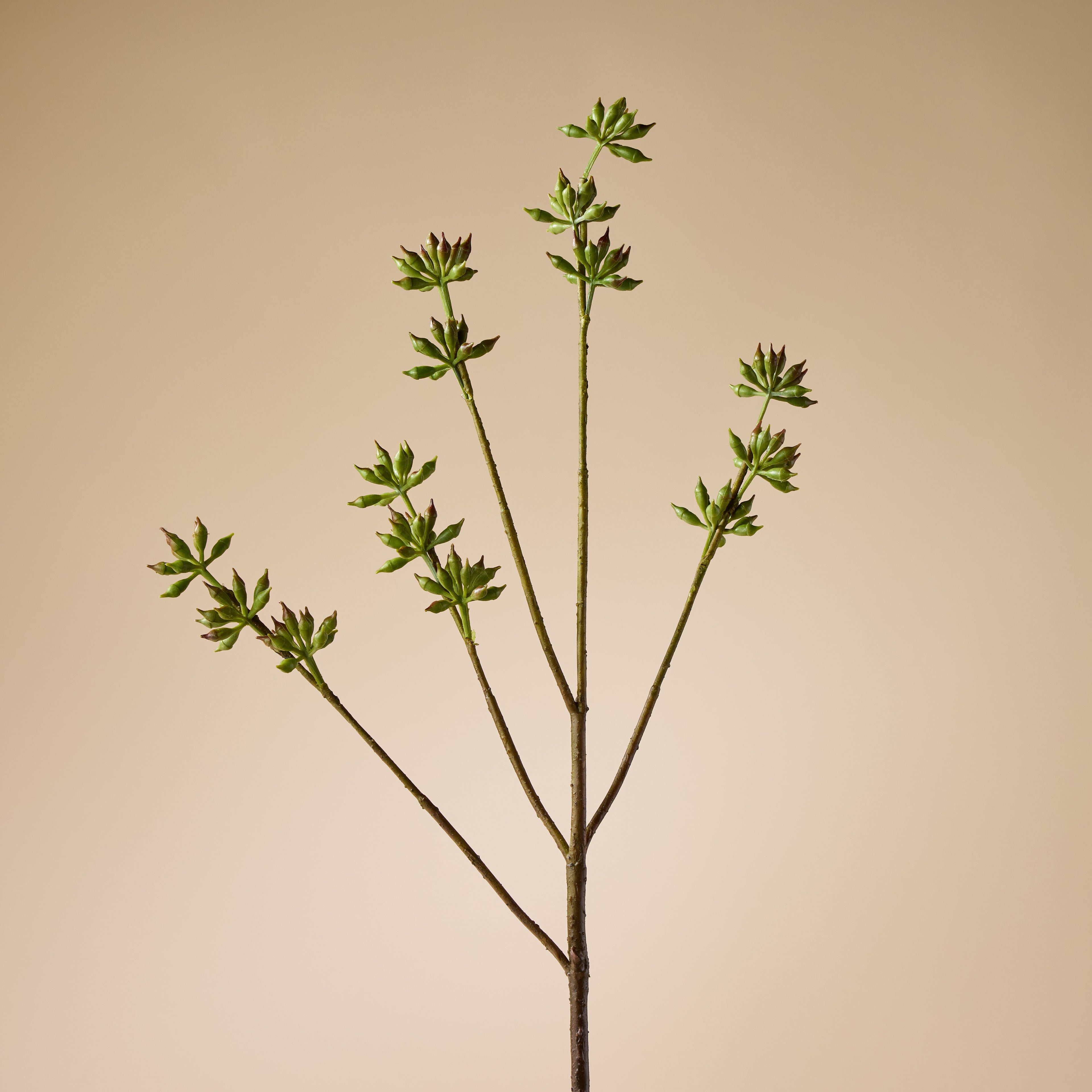 Faux Eucalyptus Seeding Spray | Green - 84cm