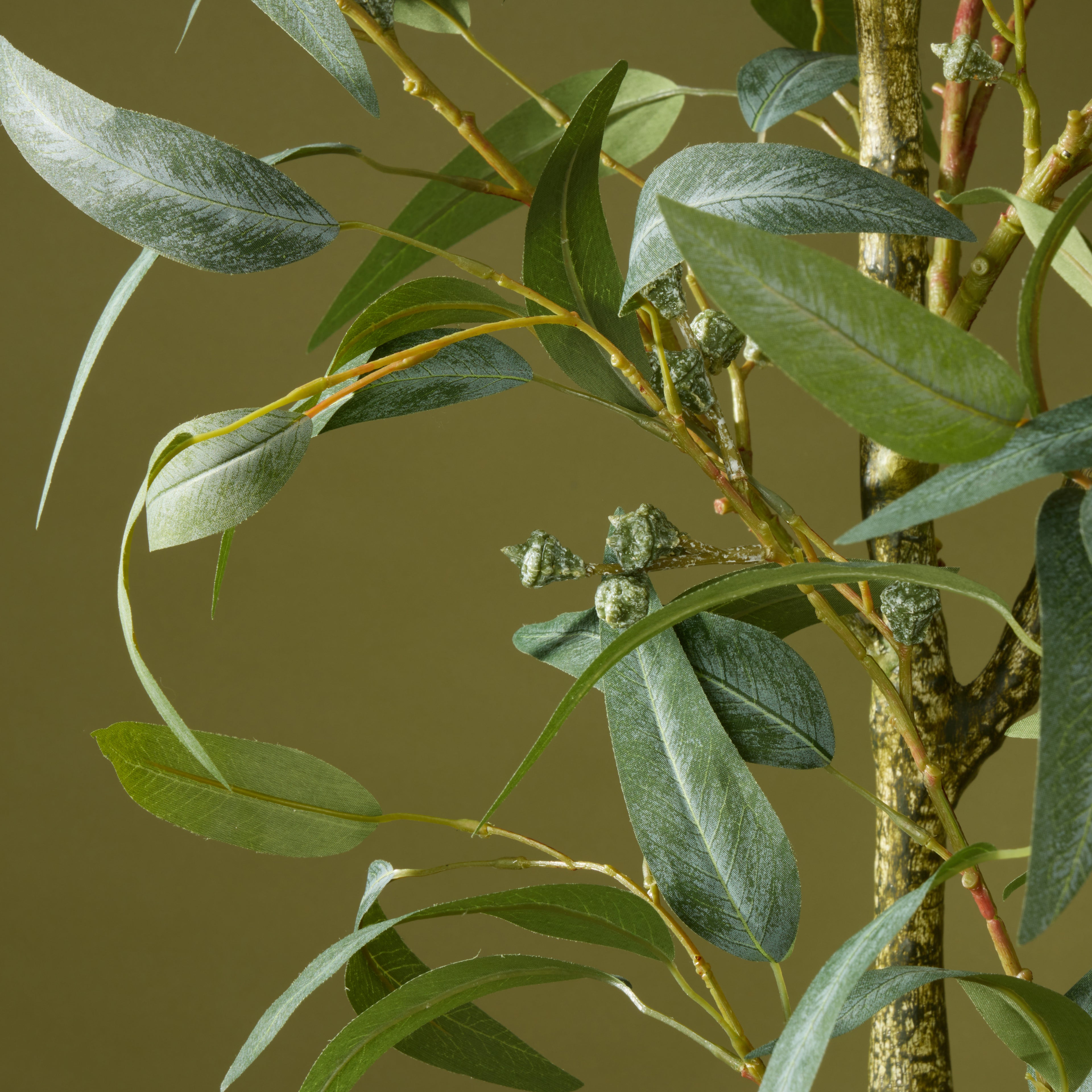 Faux Eucalyptus Gumnut Tree - Garden Pot | 170cm