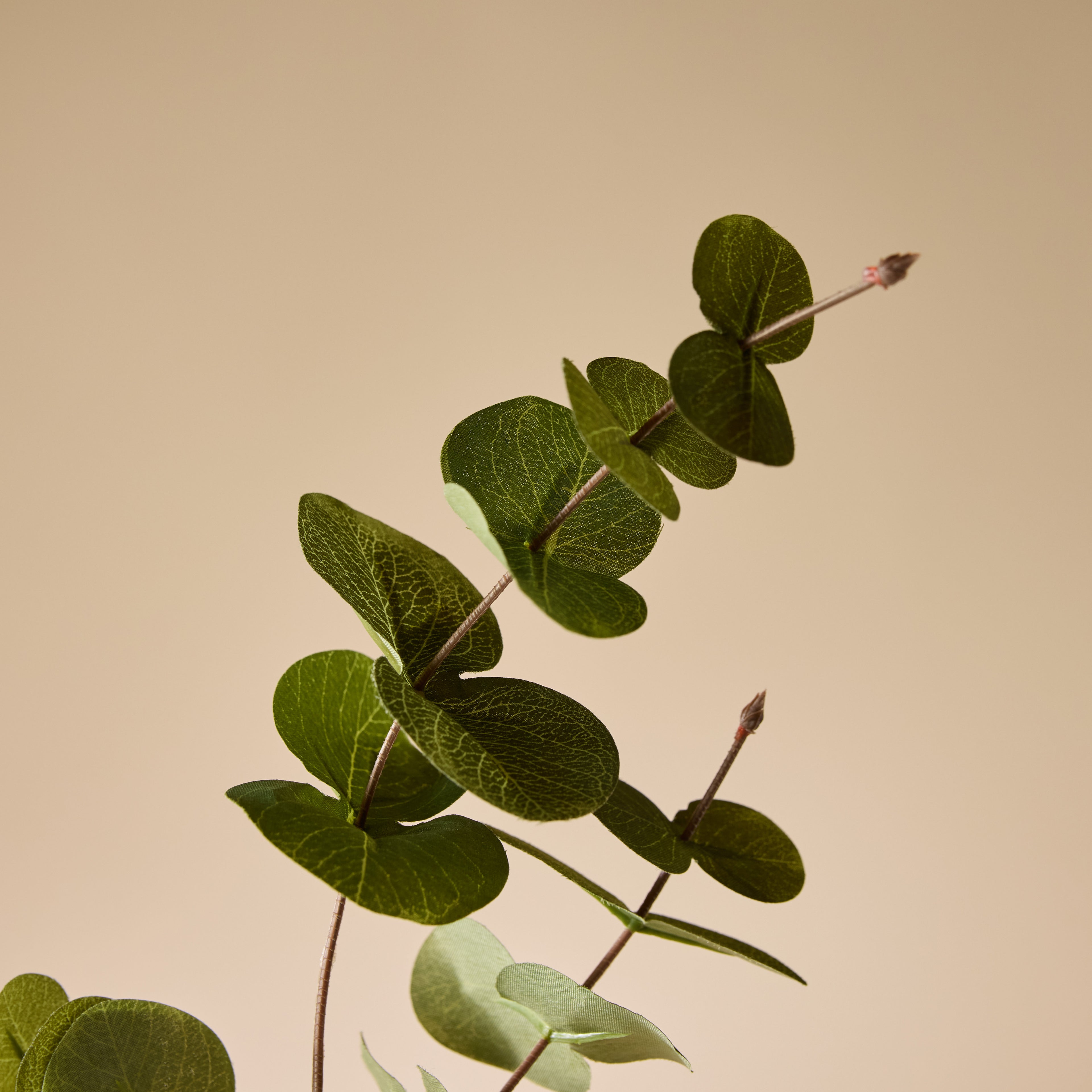 Faux Silver Drop Eucalyptus Spray | Green - 90cm