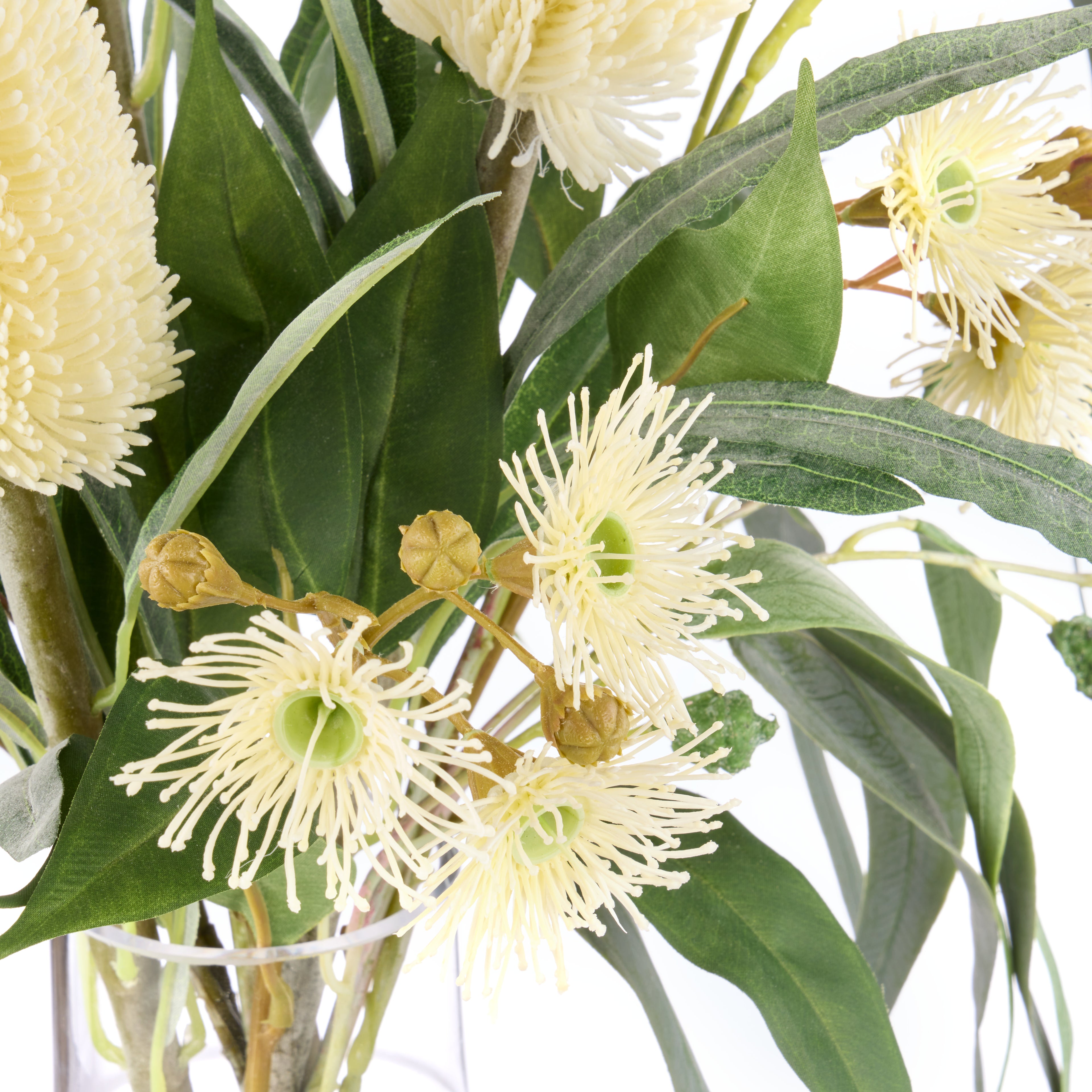 Faux Banksia Eucalyptus Arrangement - Rachel Vase | Cream - 85cm