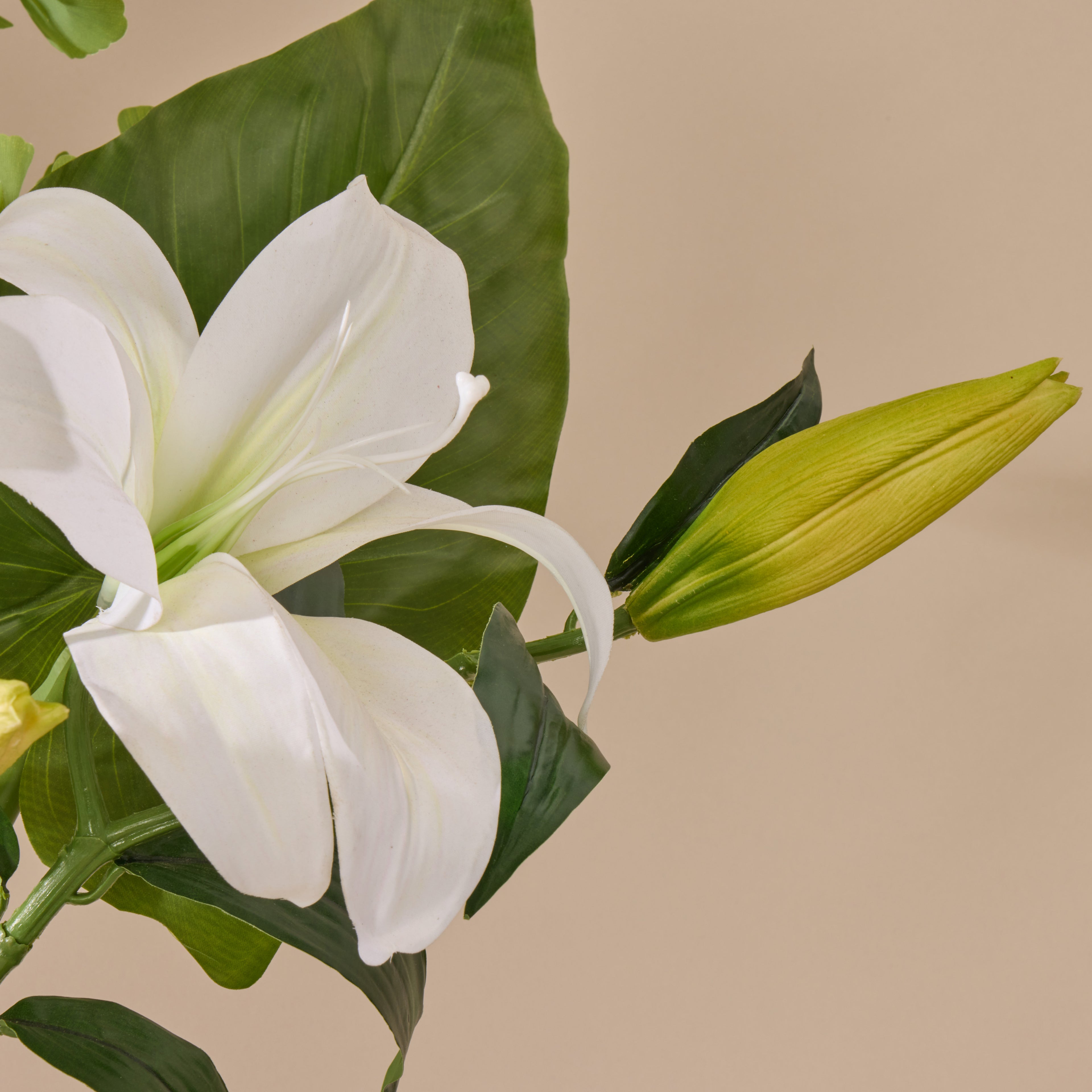 Faux Casa Lily Gingko - Alana Vase | White - 80cm