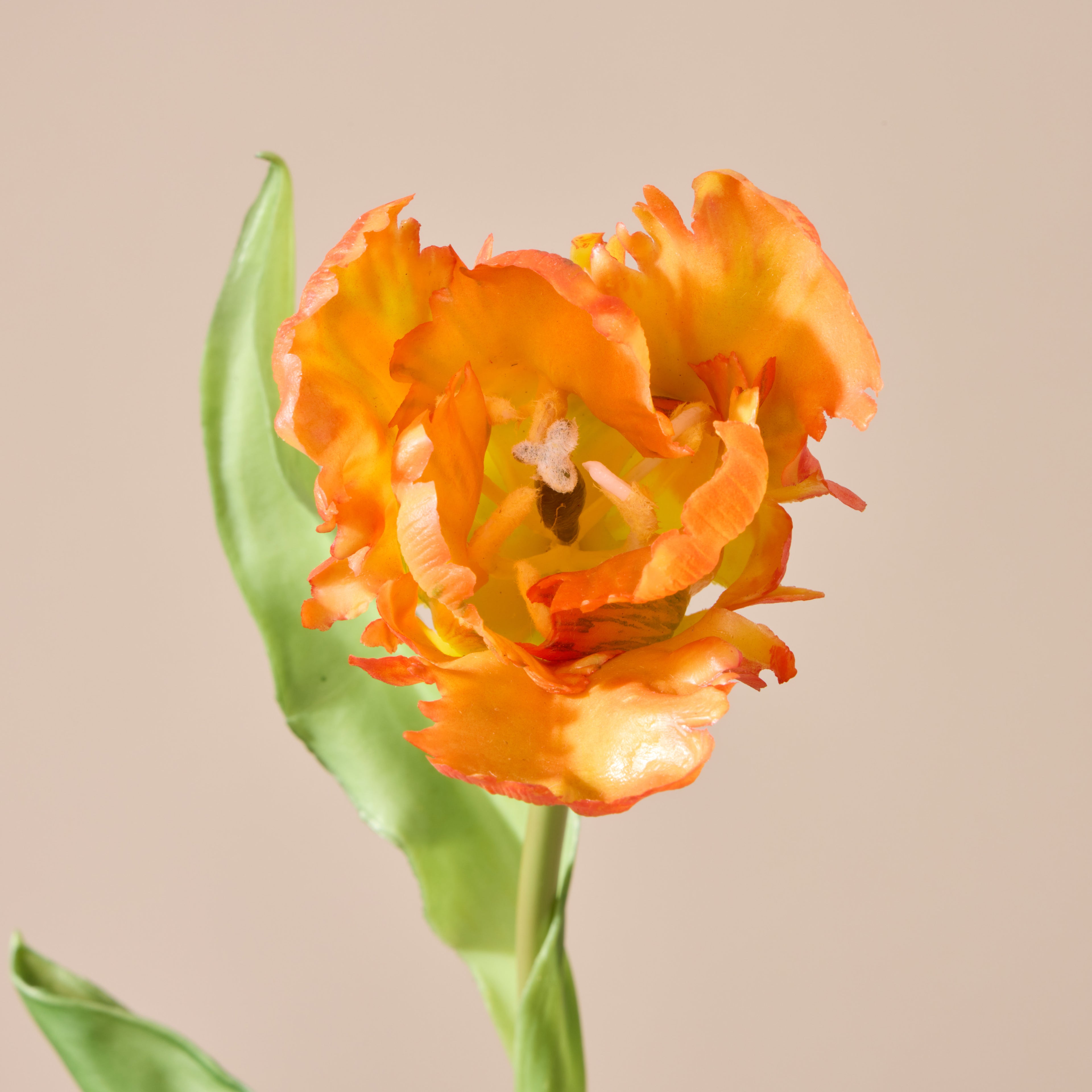 Faux Parrot Tulip Stem | Orange - 48cm
