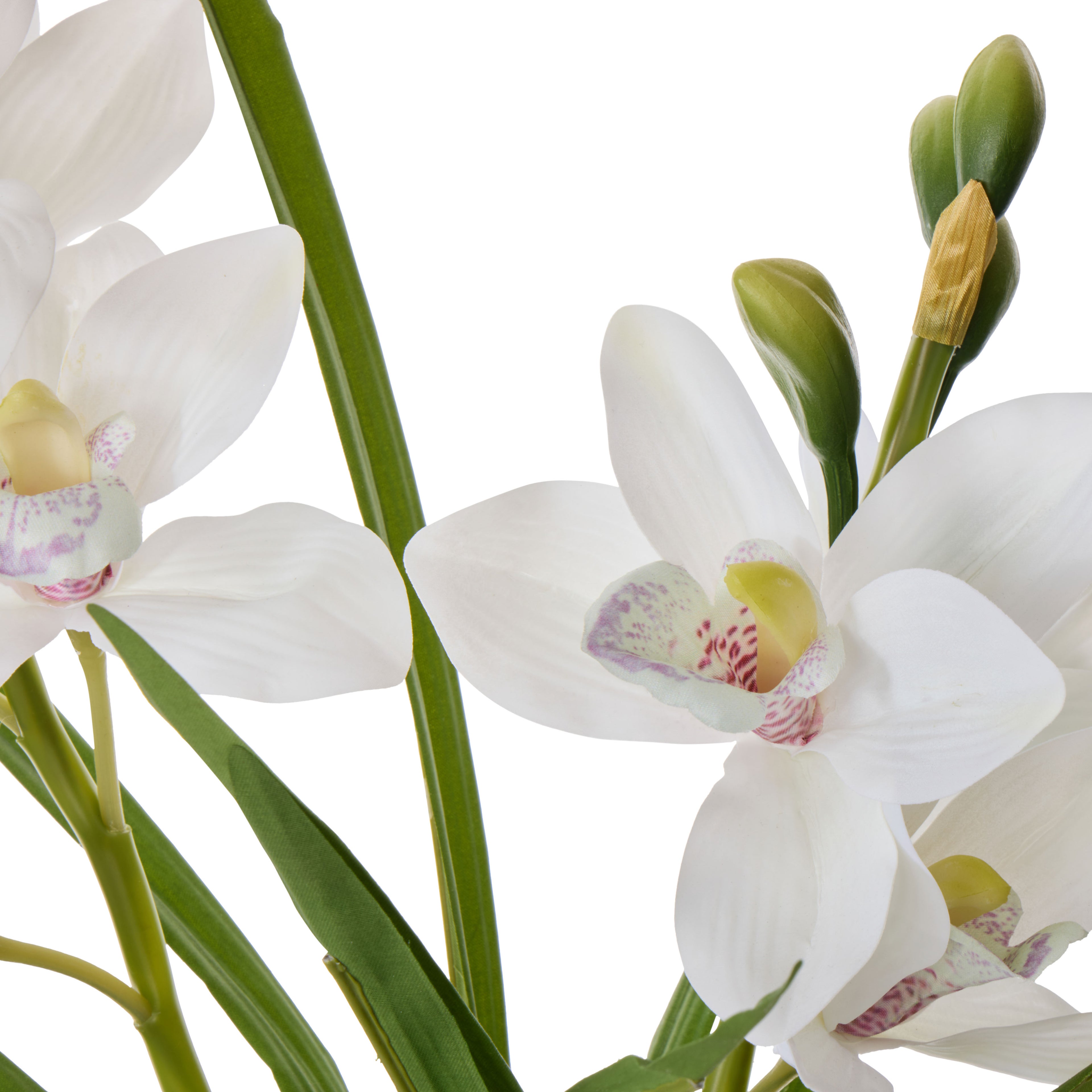 Faux Cymbidium Orchid Pot | White - 52cm