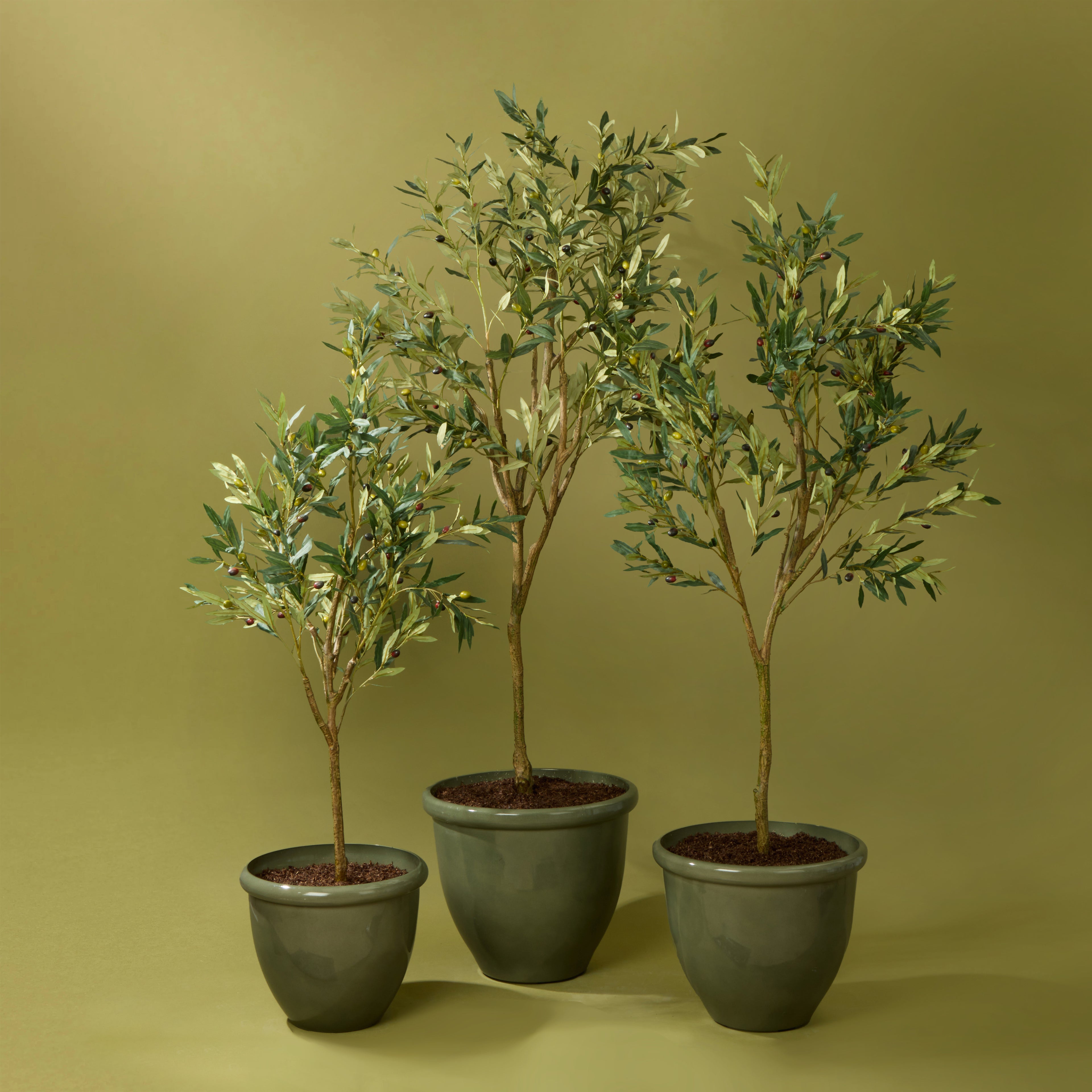 Faux Olivia Tree - Milan Planter Set of 3