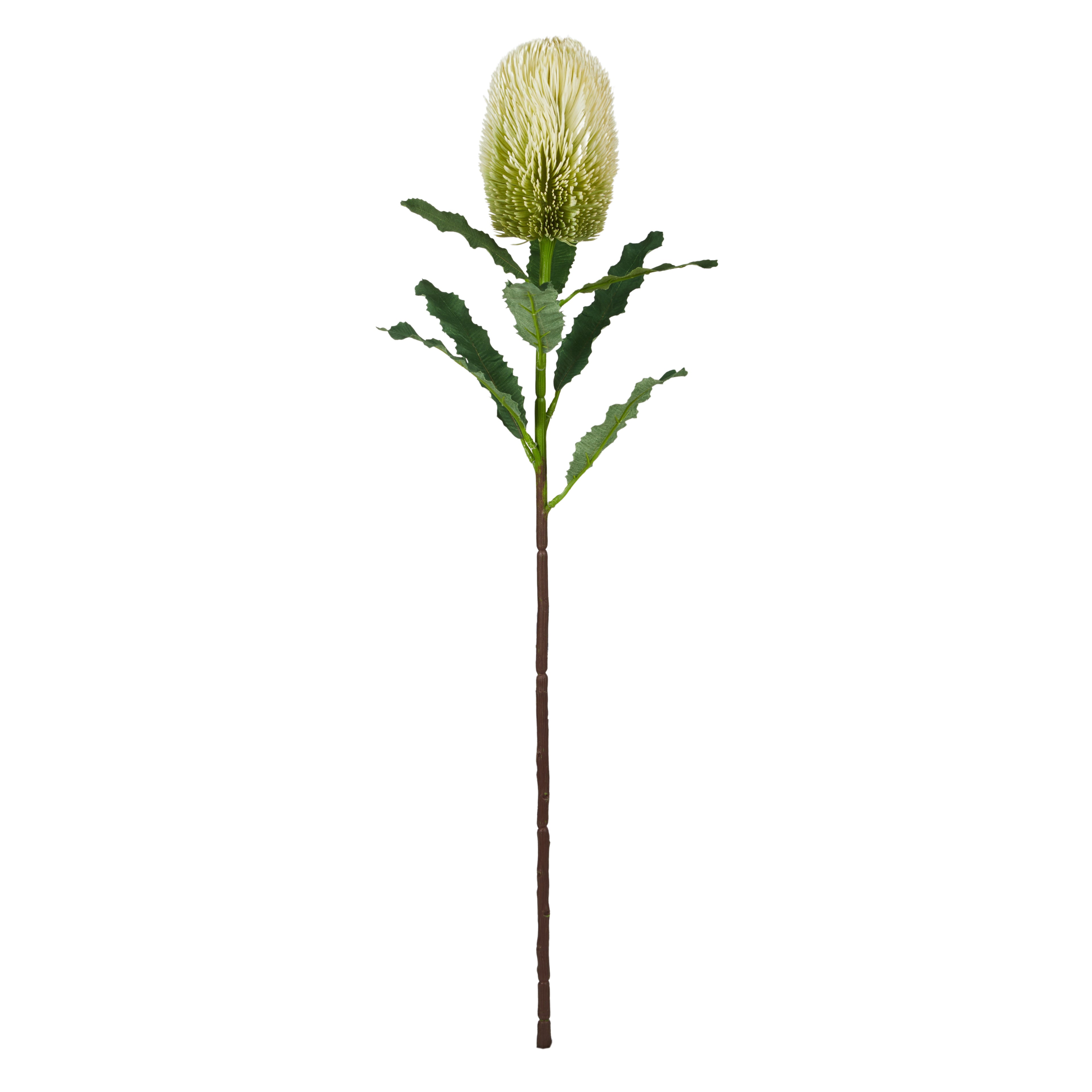 Faux Banksia Stem | White - 65cm