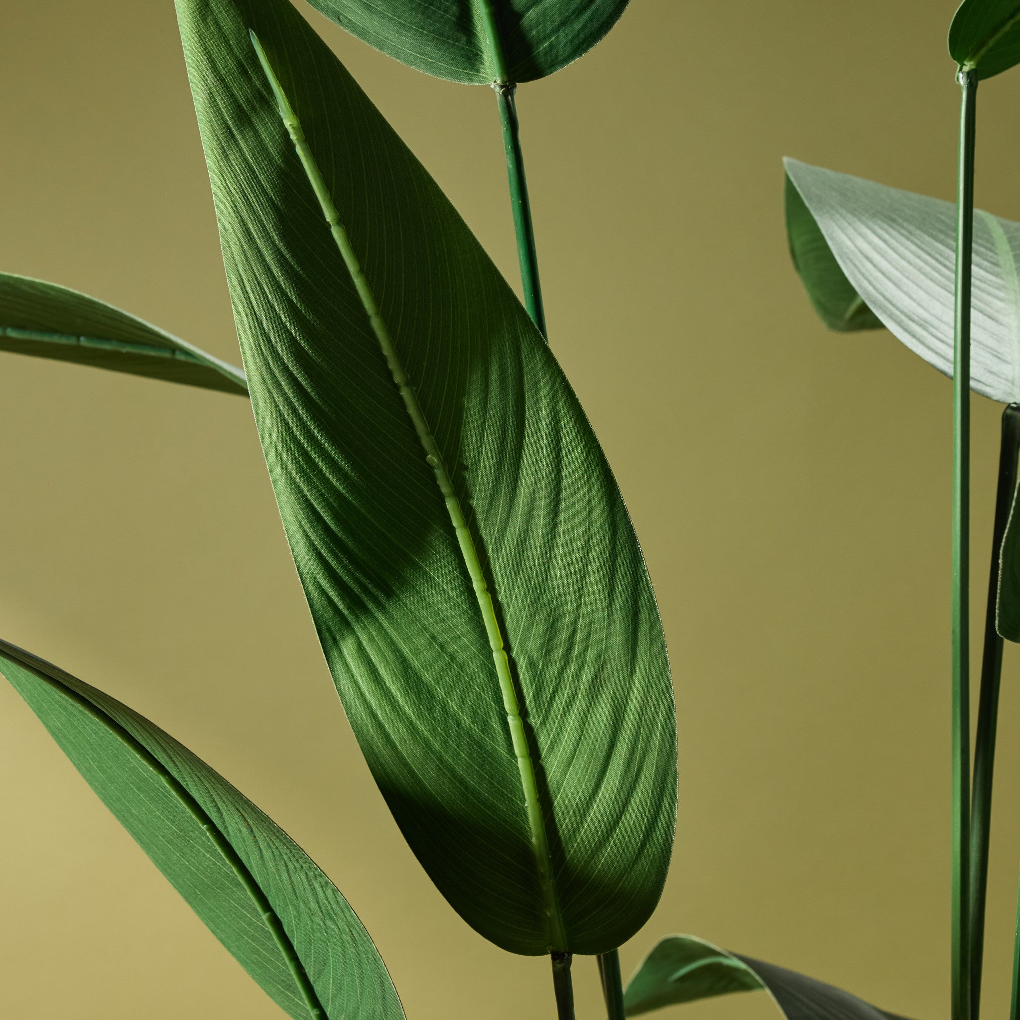 Faux Sky Bird Plant | 213cm