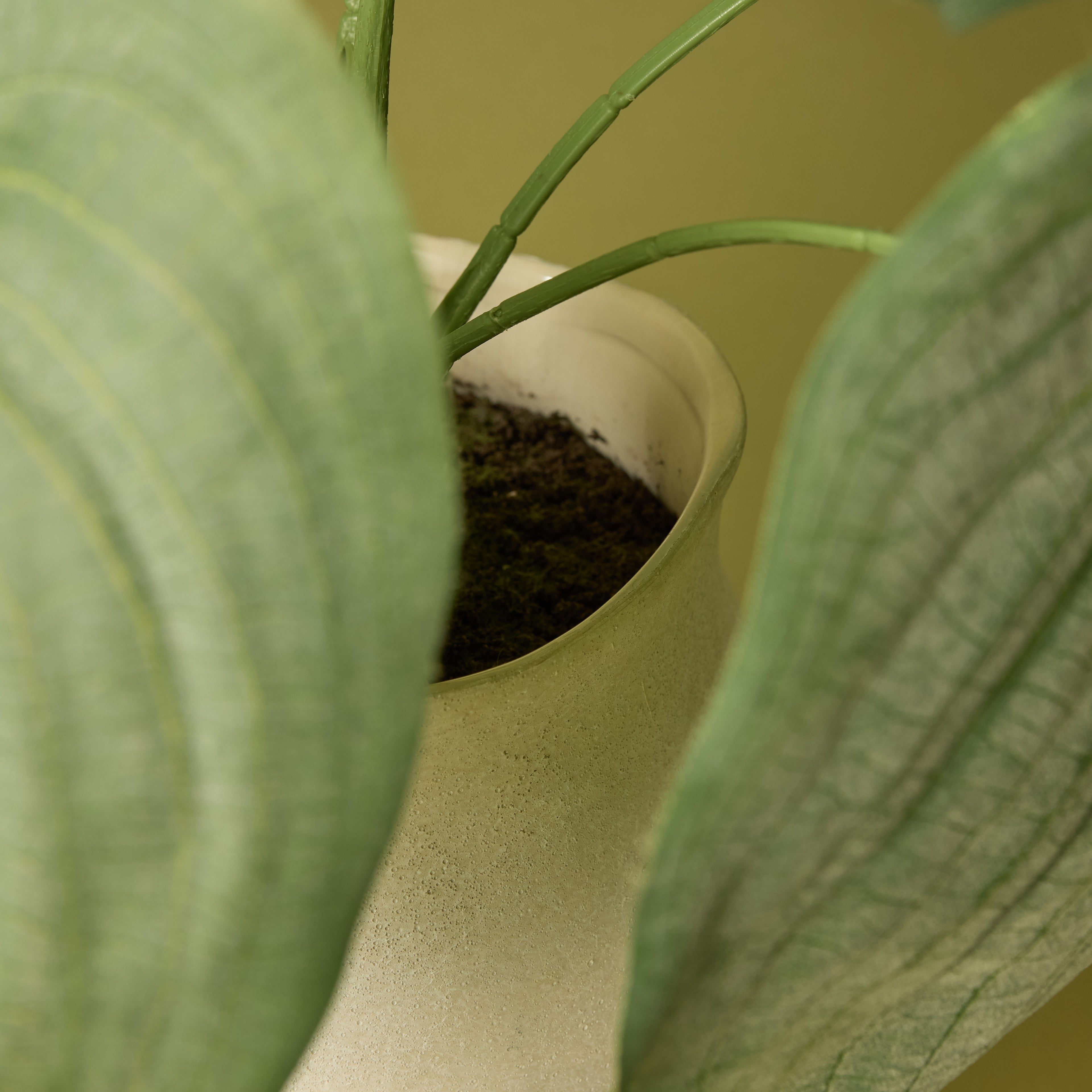 Faux Hosta Plant - Maliah Pot | Cream - 57cm