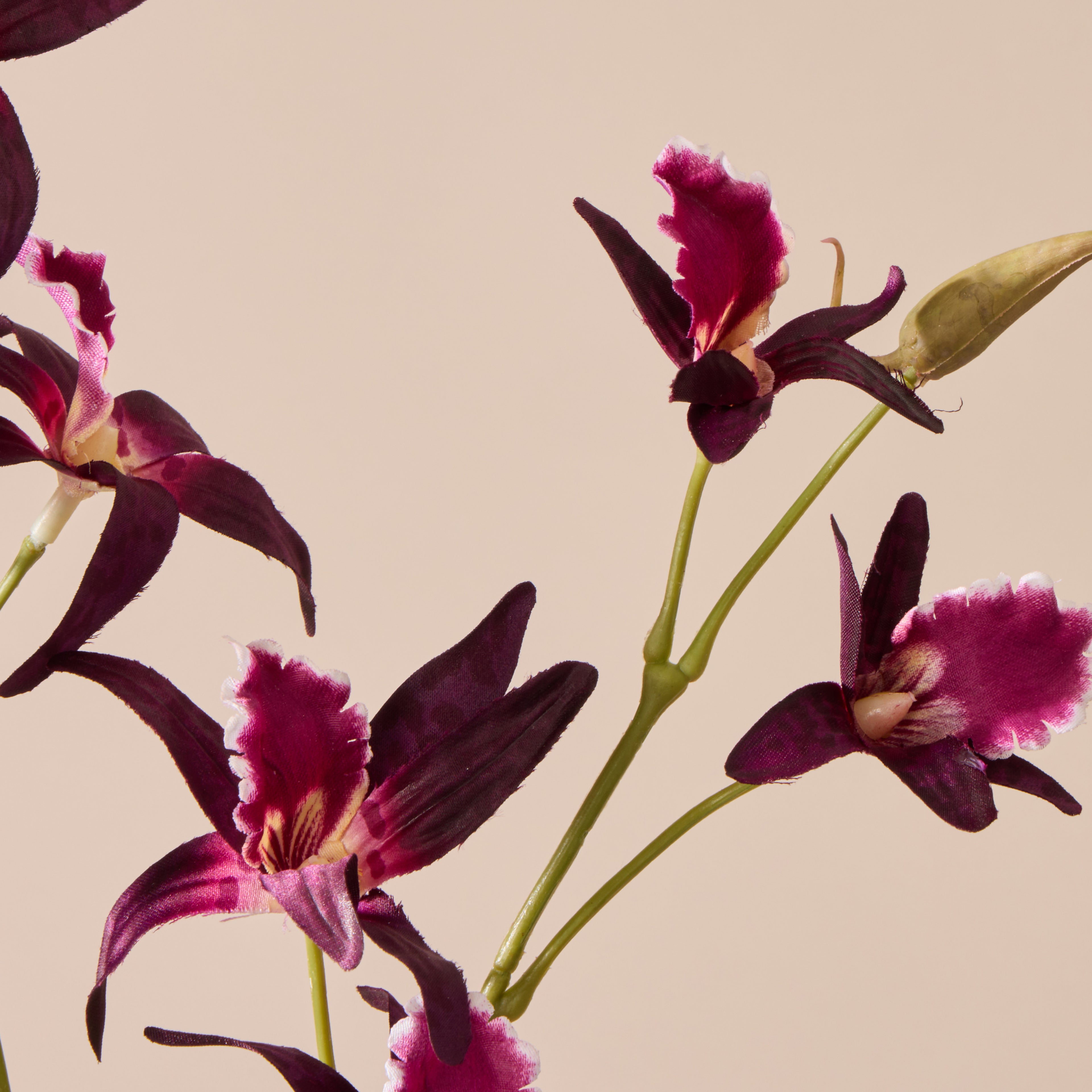 Faux Dendrobium Spray | Burgundy - 92cm