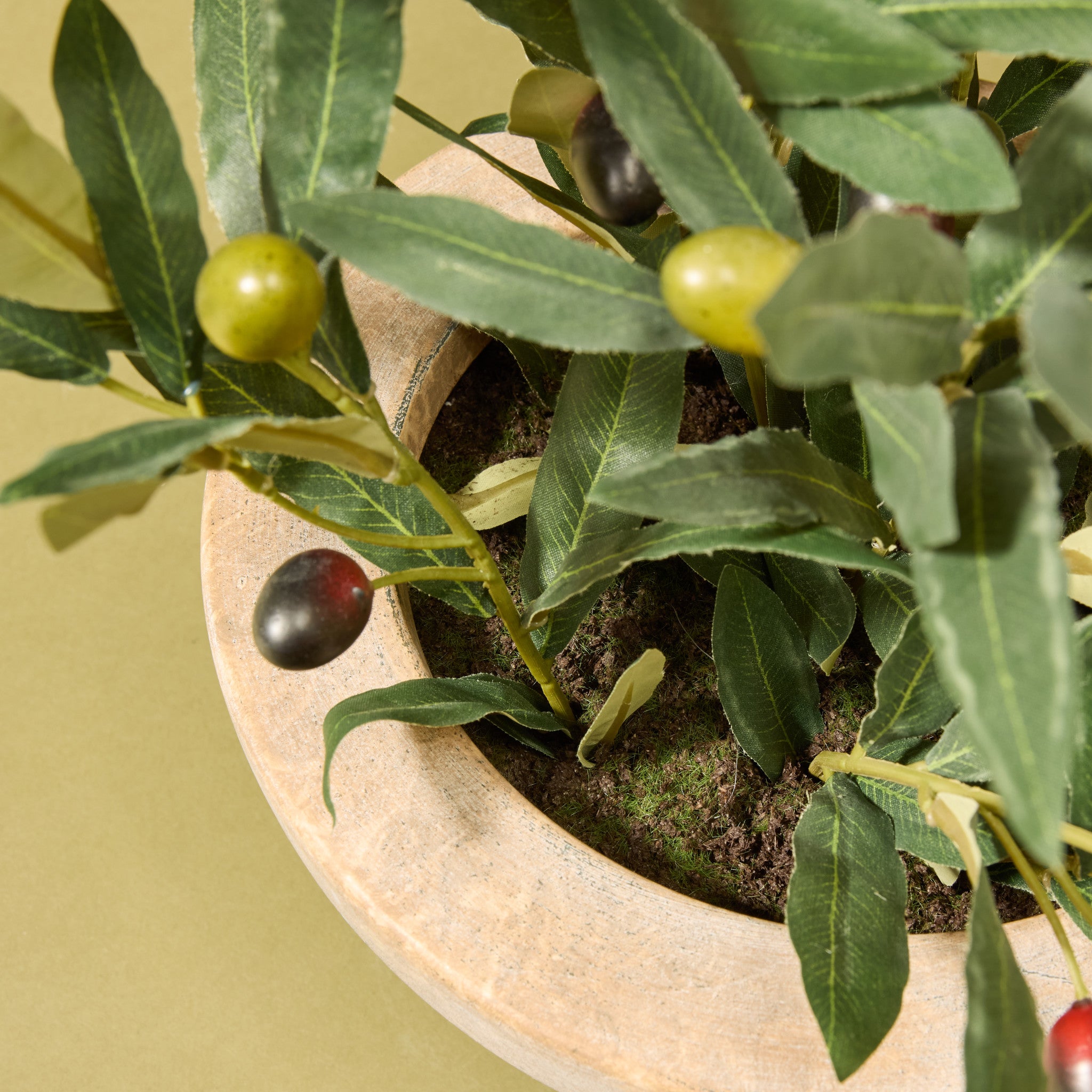 Faux Olive Spray Arrangement - Earthenware Bowl | 47cm