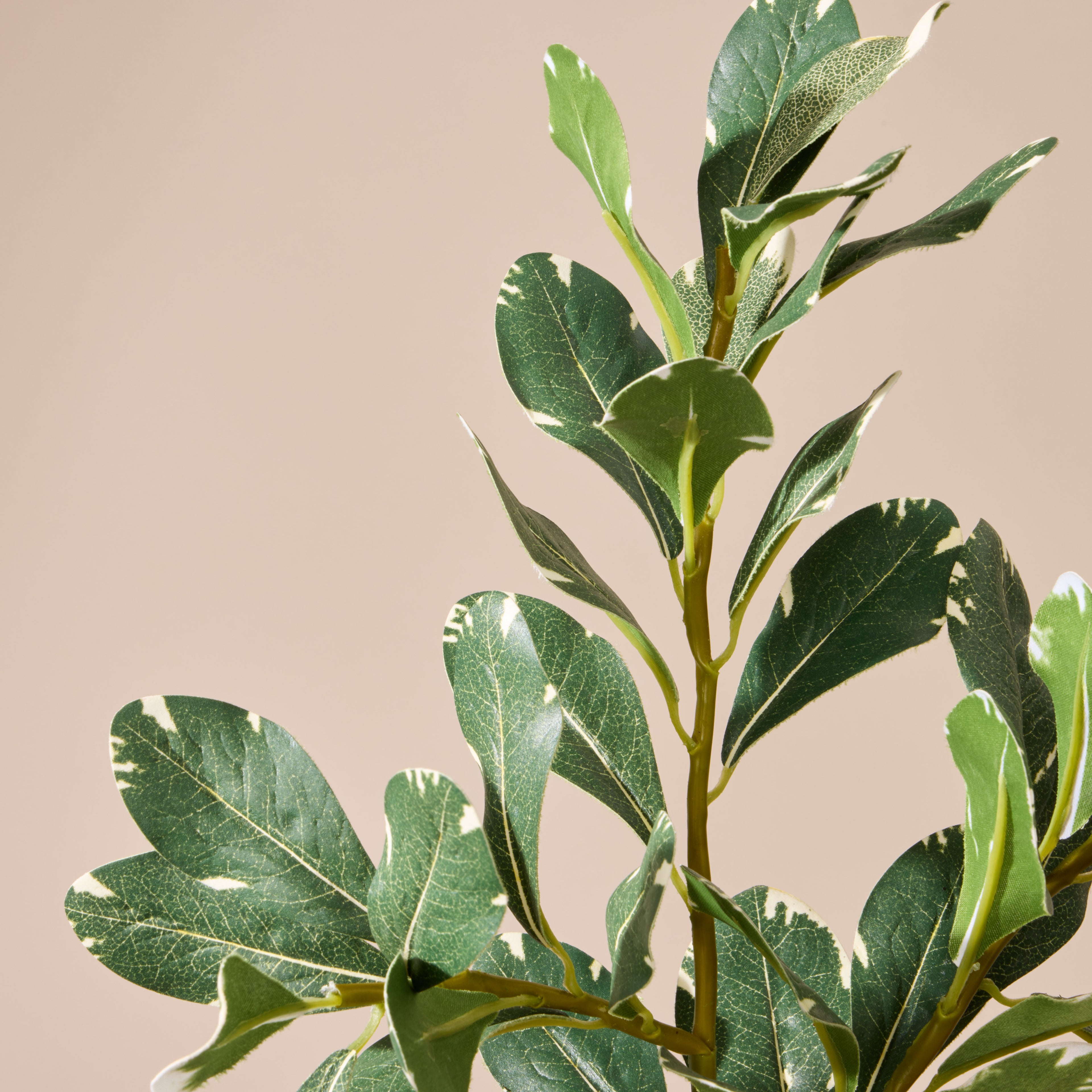 Faux Pittosporum Spray | Green - 72cm